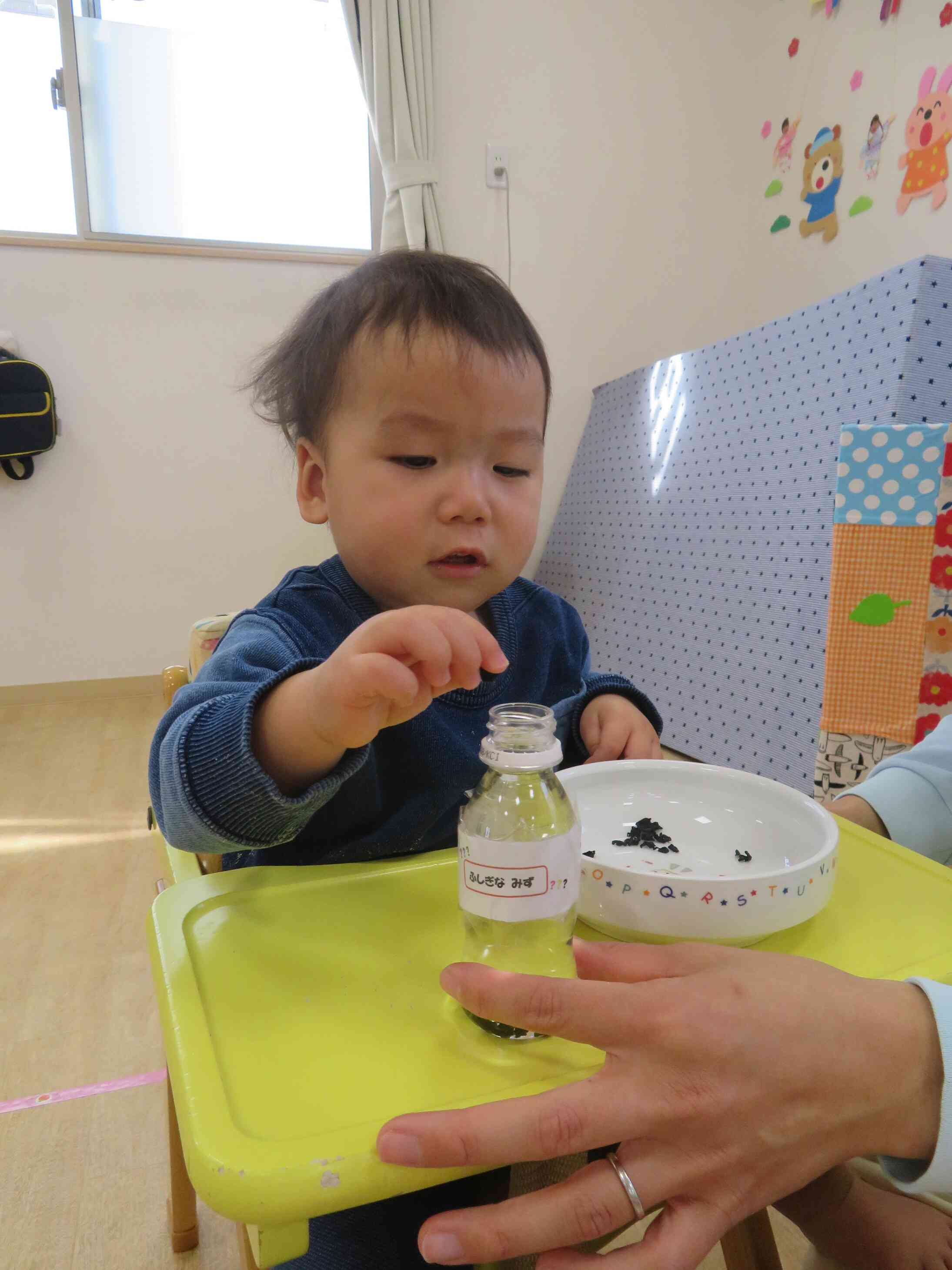 きのこだ！わかめだ！乾物だ！