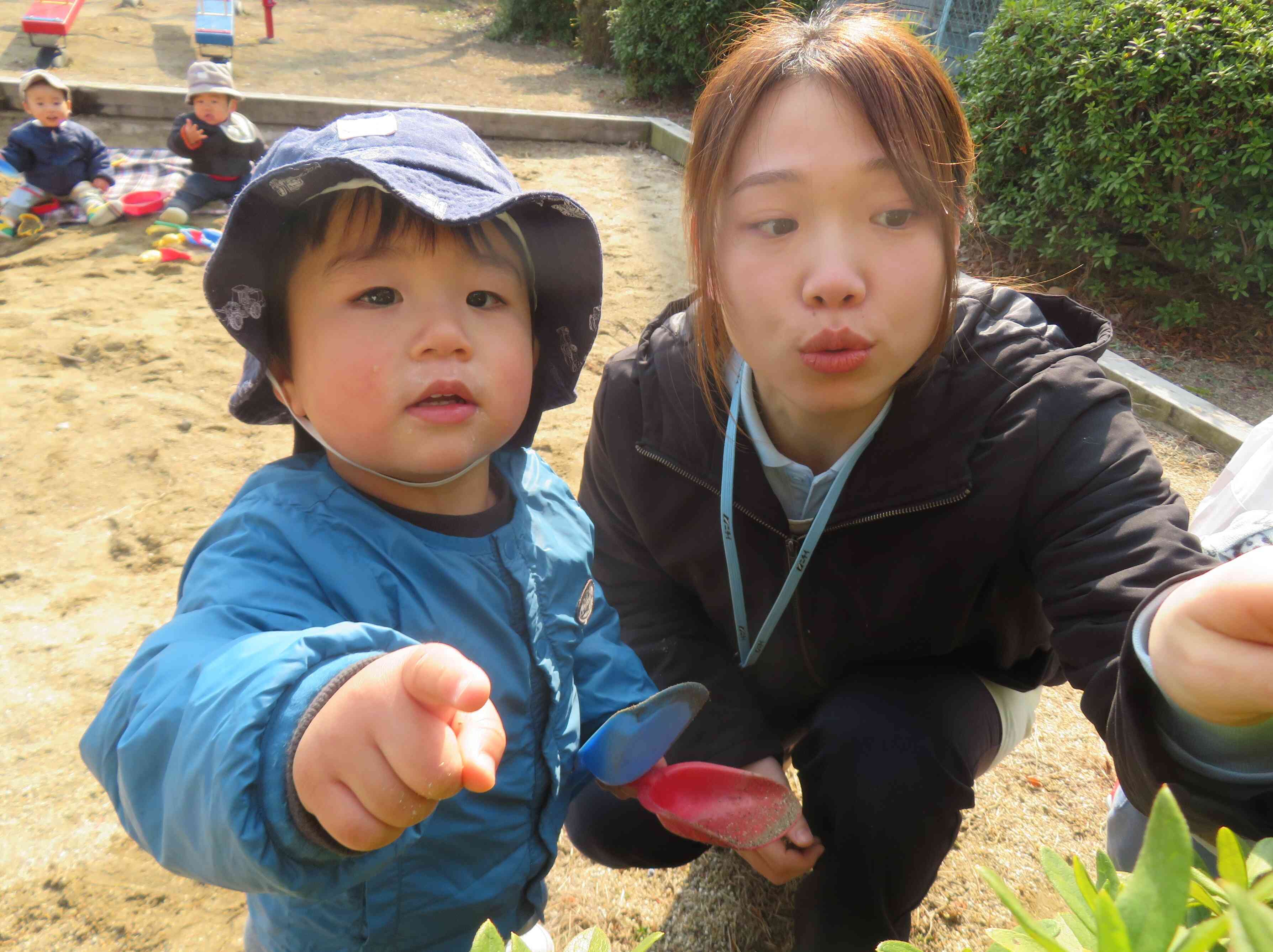 この葉っぱは何だろう？？