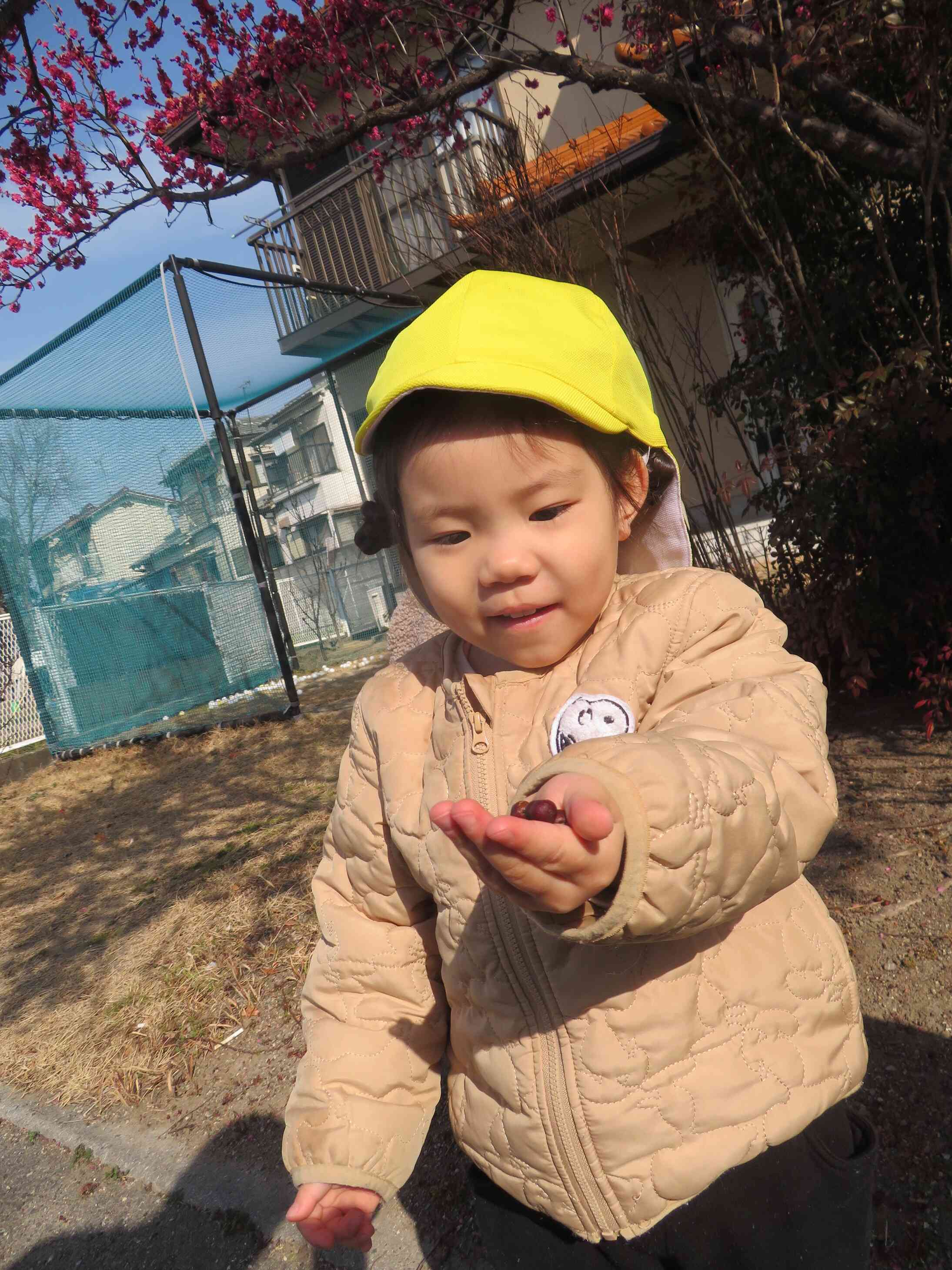 木の実み～つけた★手のひらにのせてうれしそうだね。