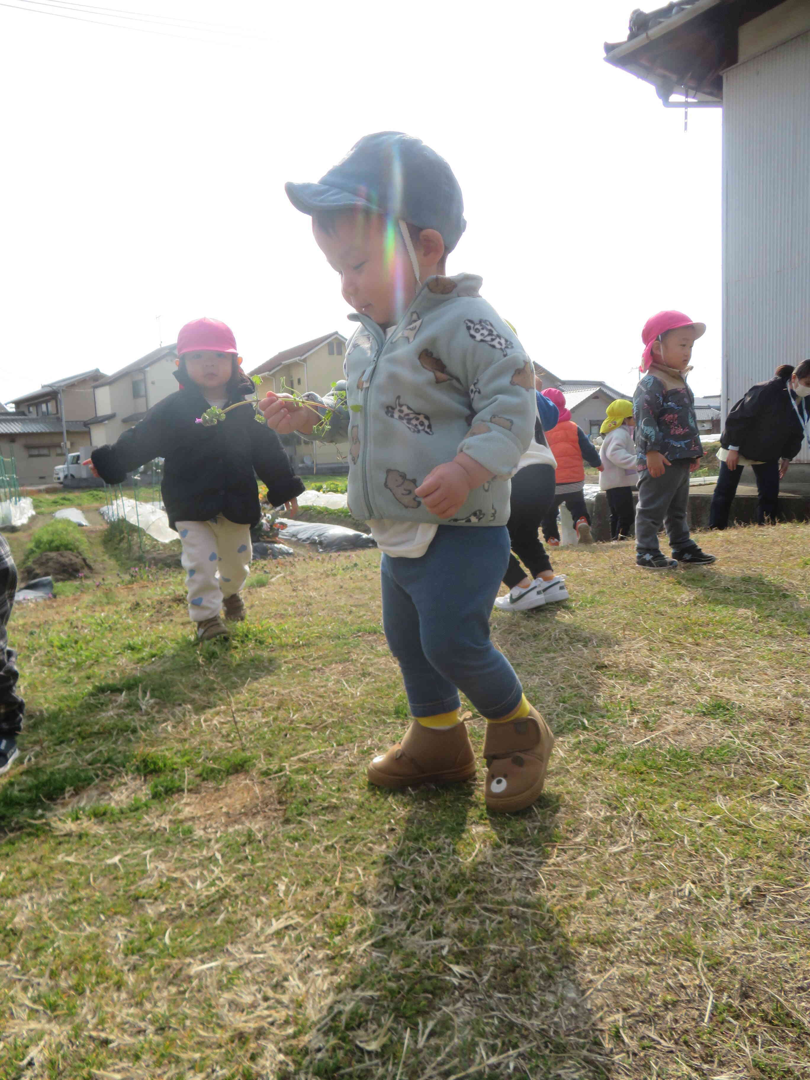 全員でお散歩♪うれしいな♬