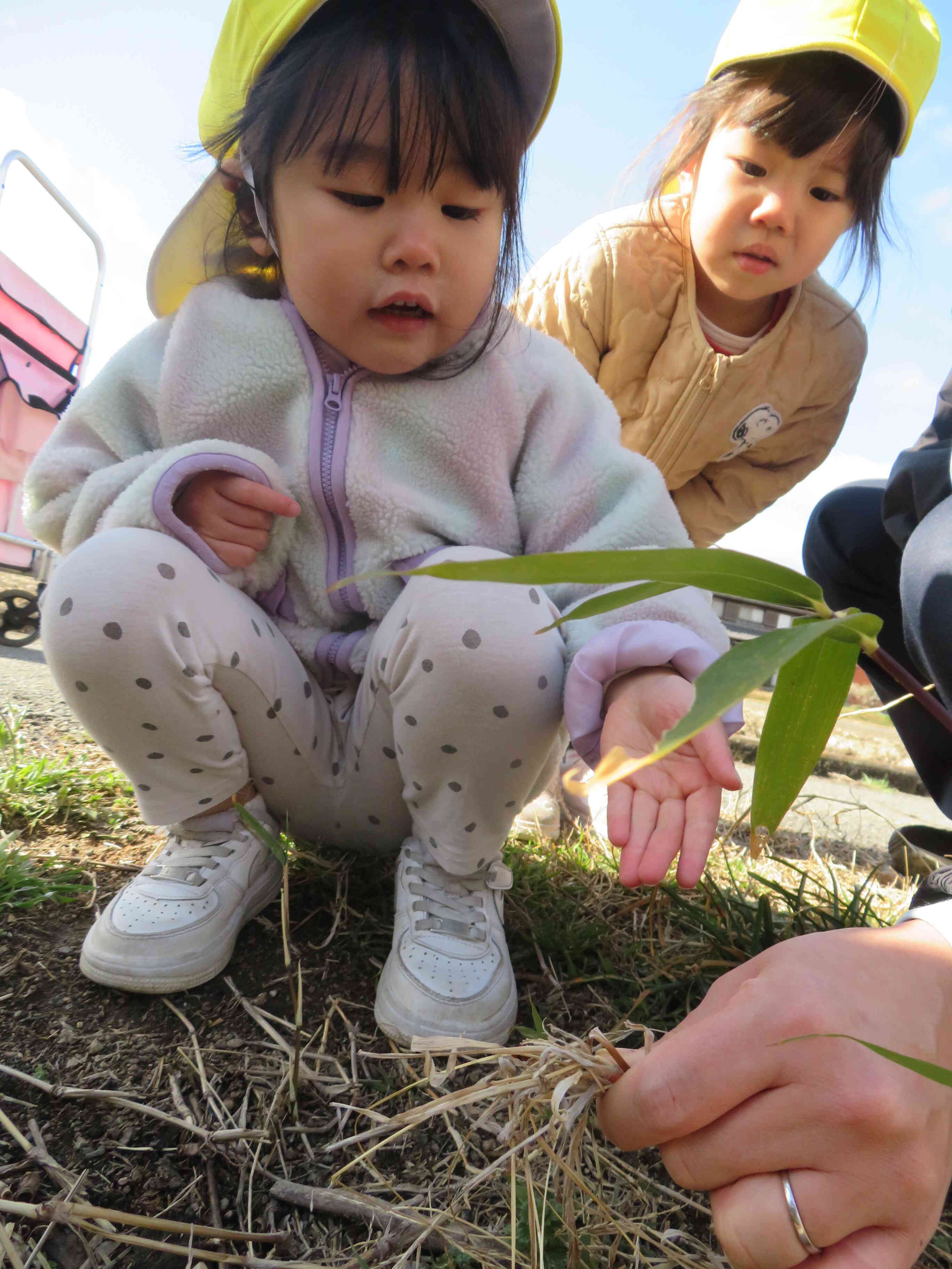 こっちへおいで！