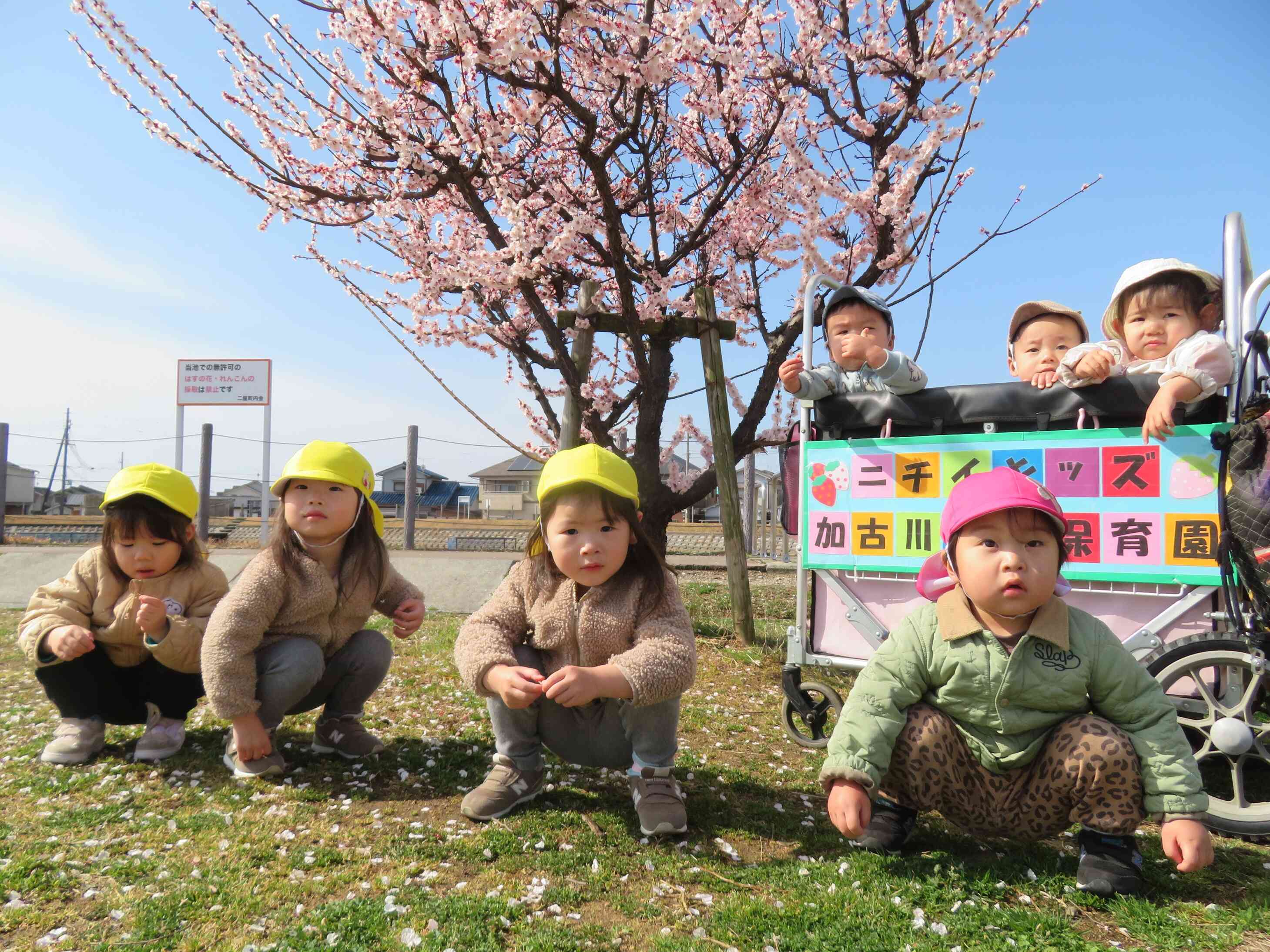 ☆綺麗に咲いていたよ☆