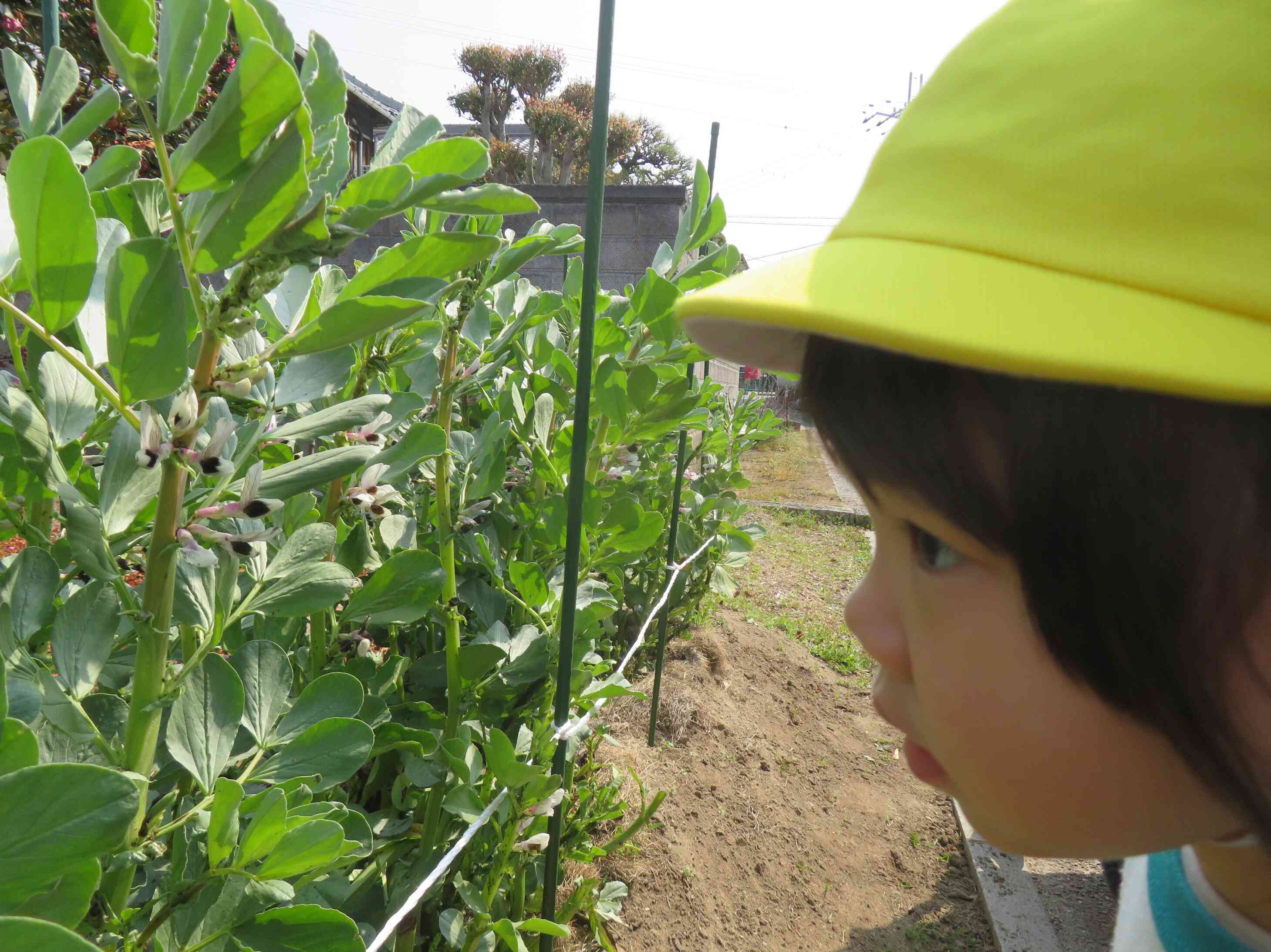ぽかぽか土曜日のお散歩です♬