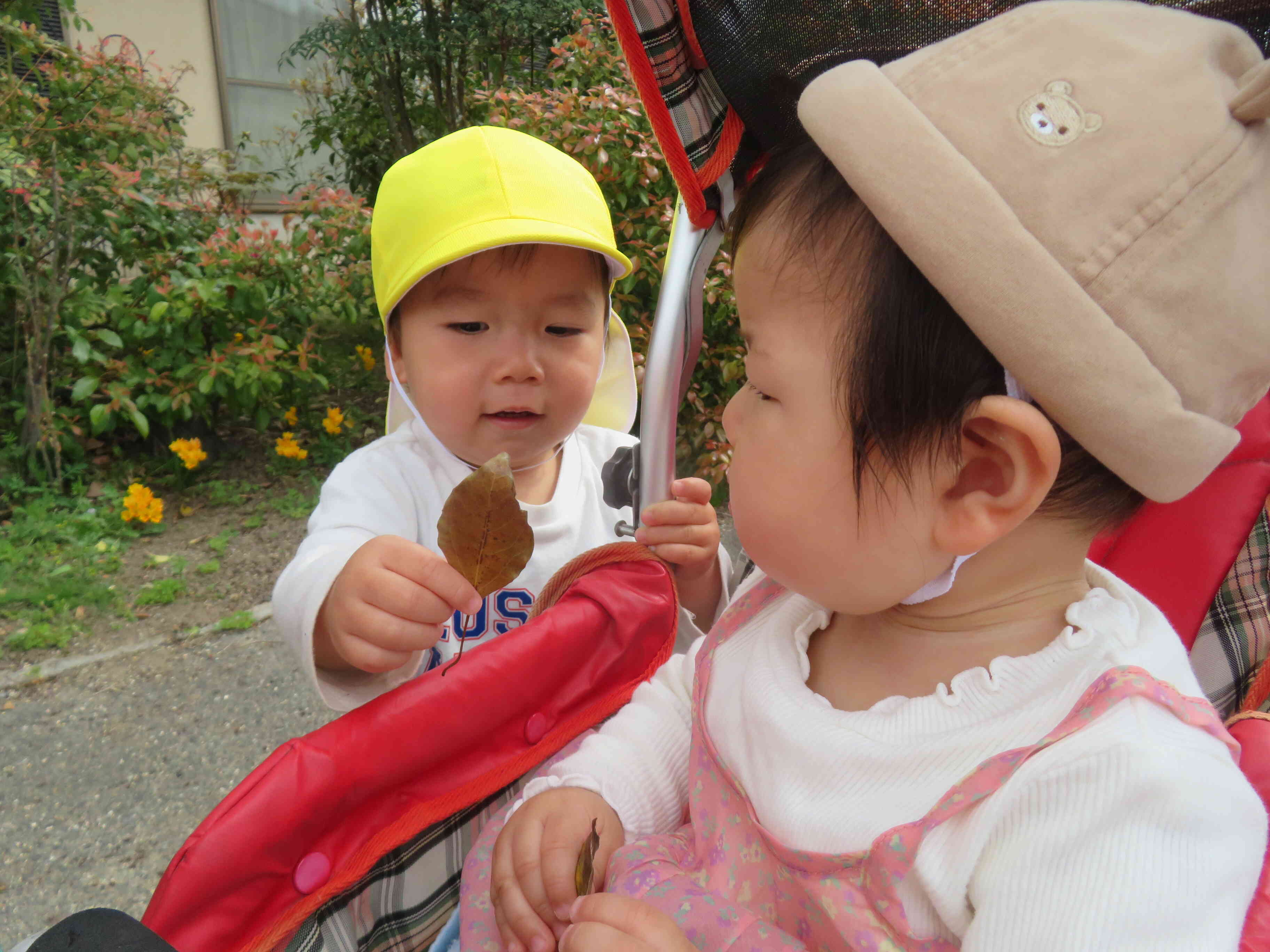 はい、どうぞ！☆