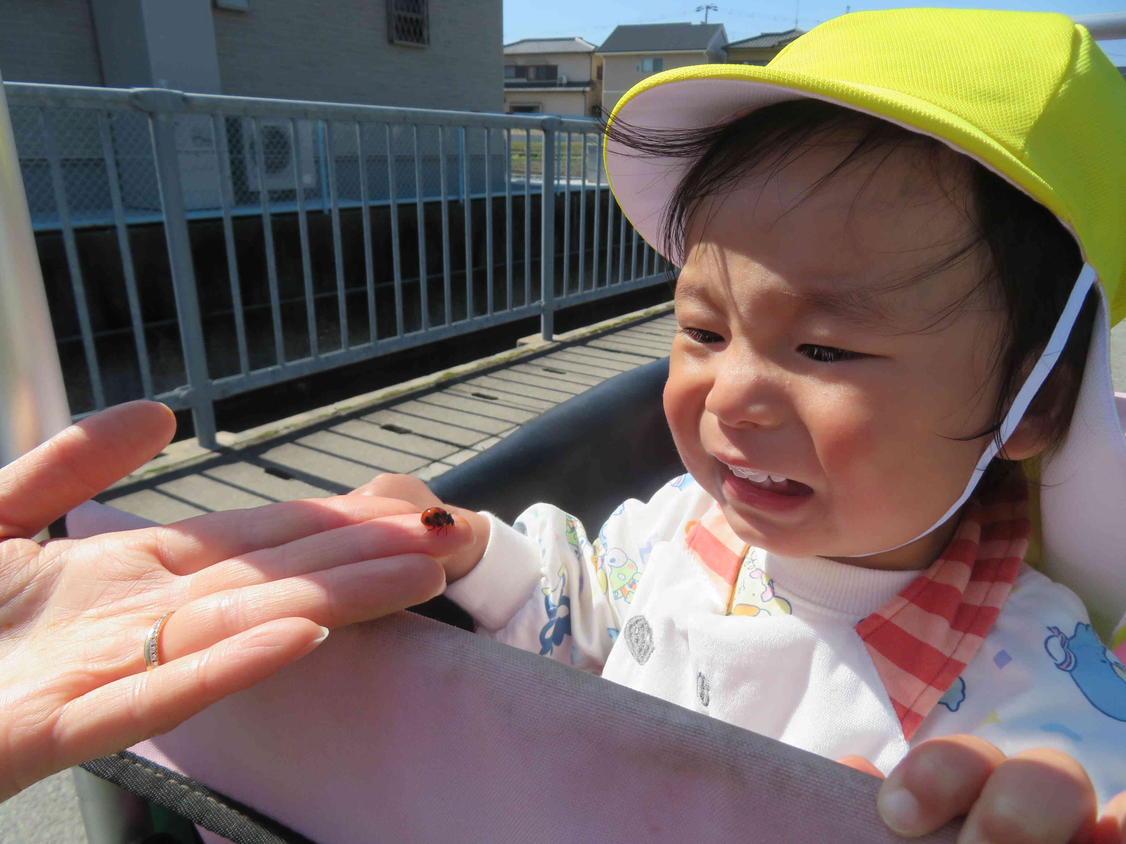 てんとう虫に苦笑い？