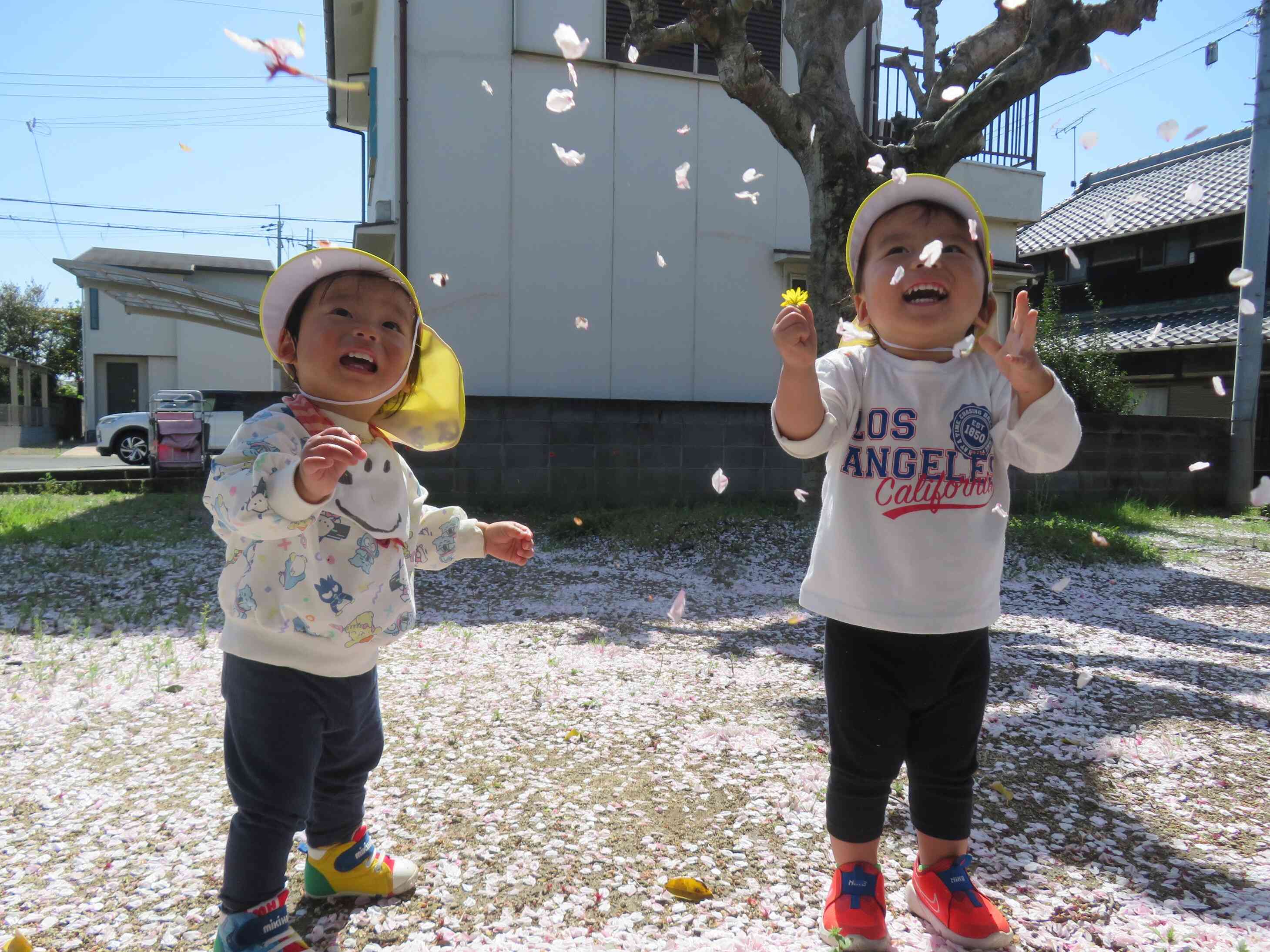 桜が舞い散った！土曜日のお散歩♪