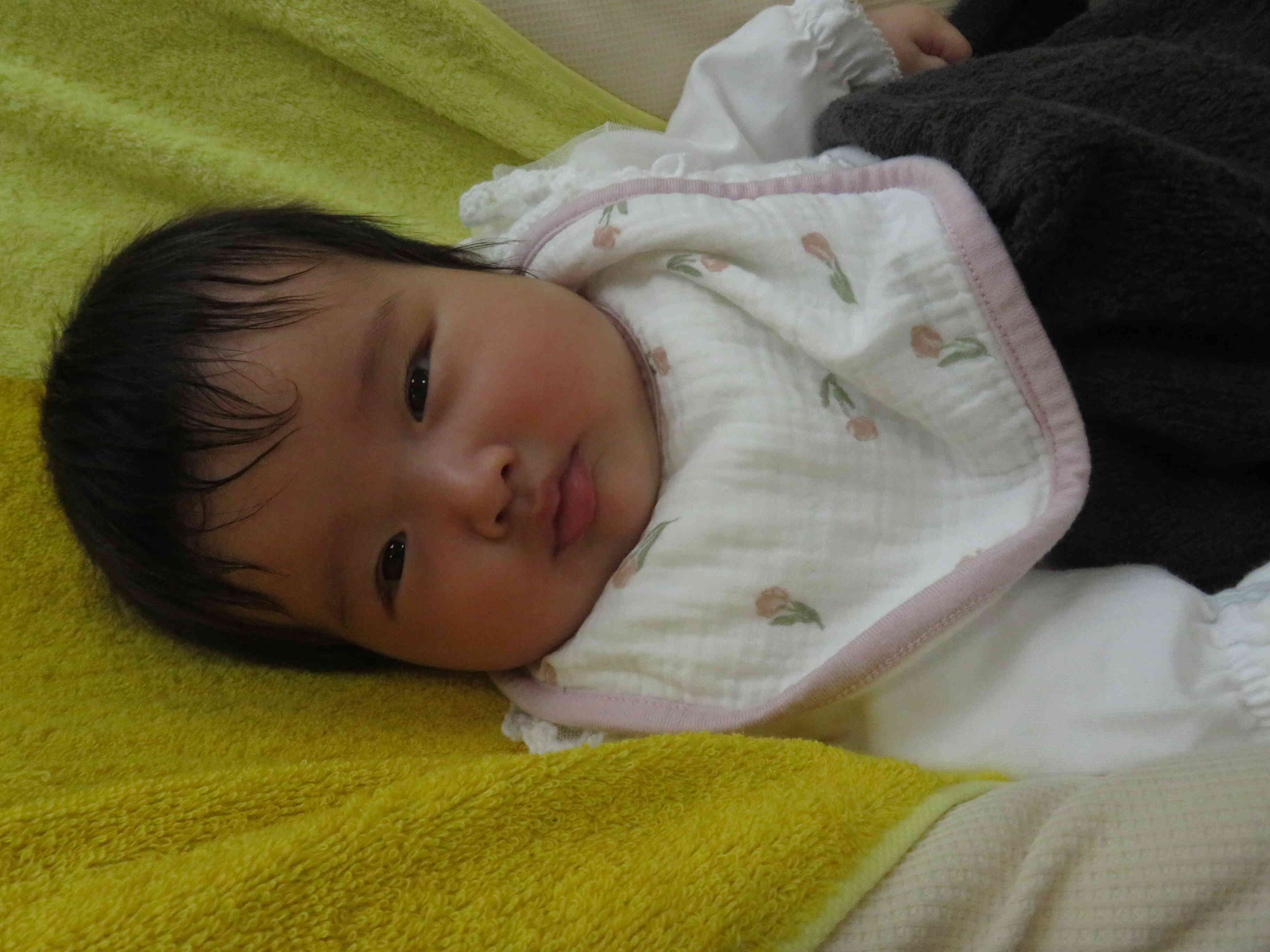 わたし、生後３か月です。