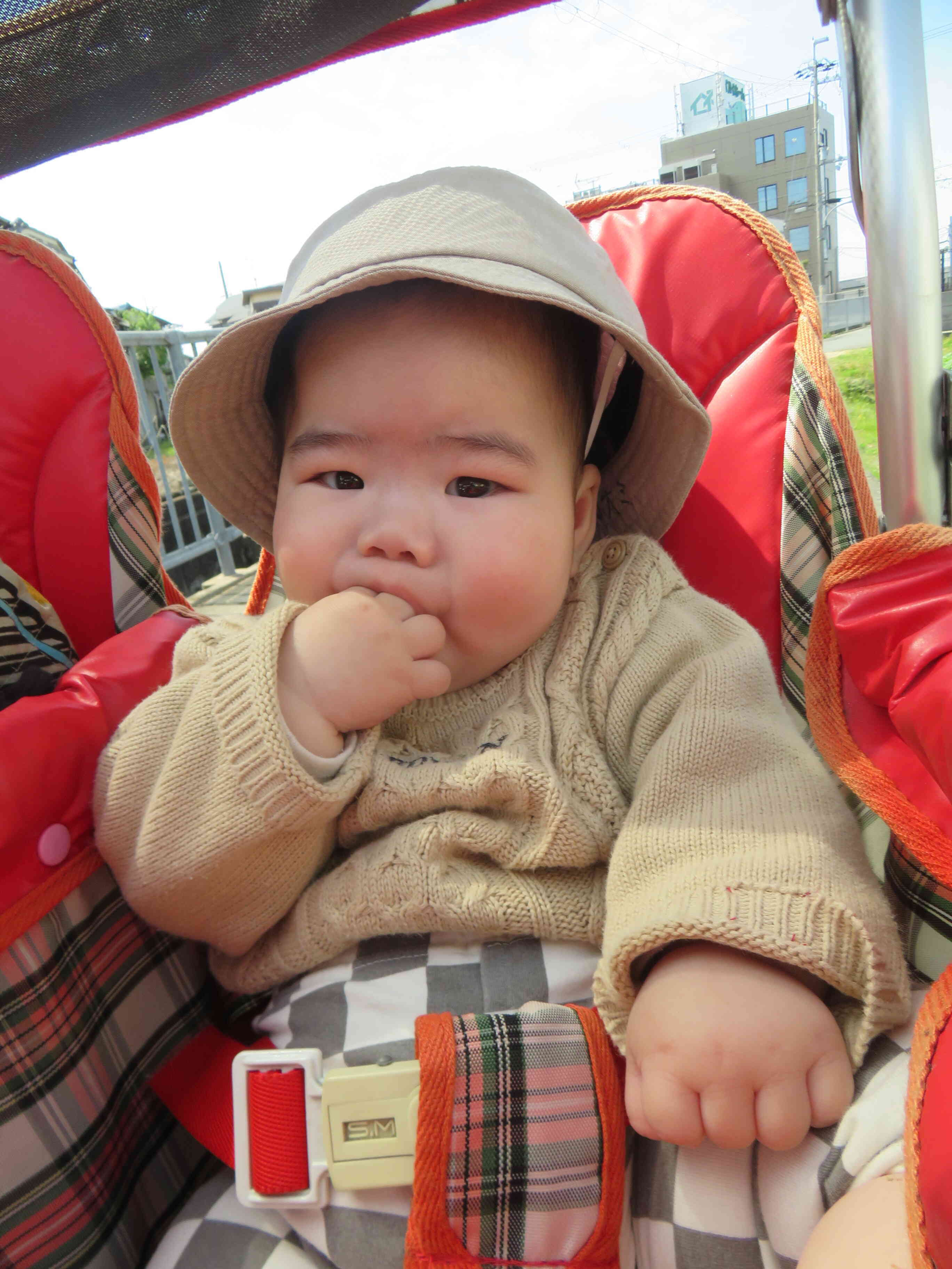 ぽかぽか陽気で、いい気持ち♪