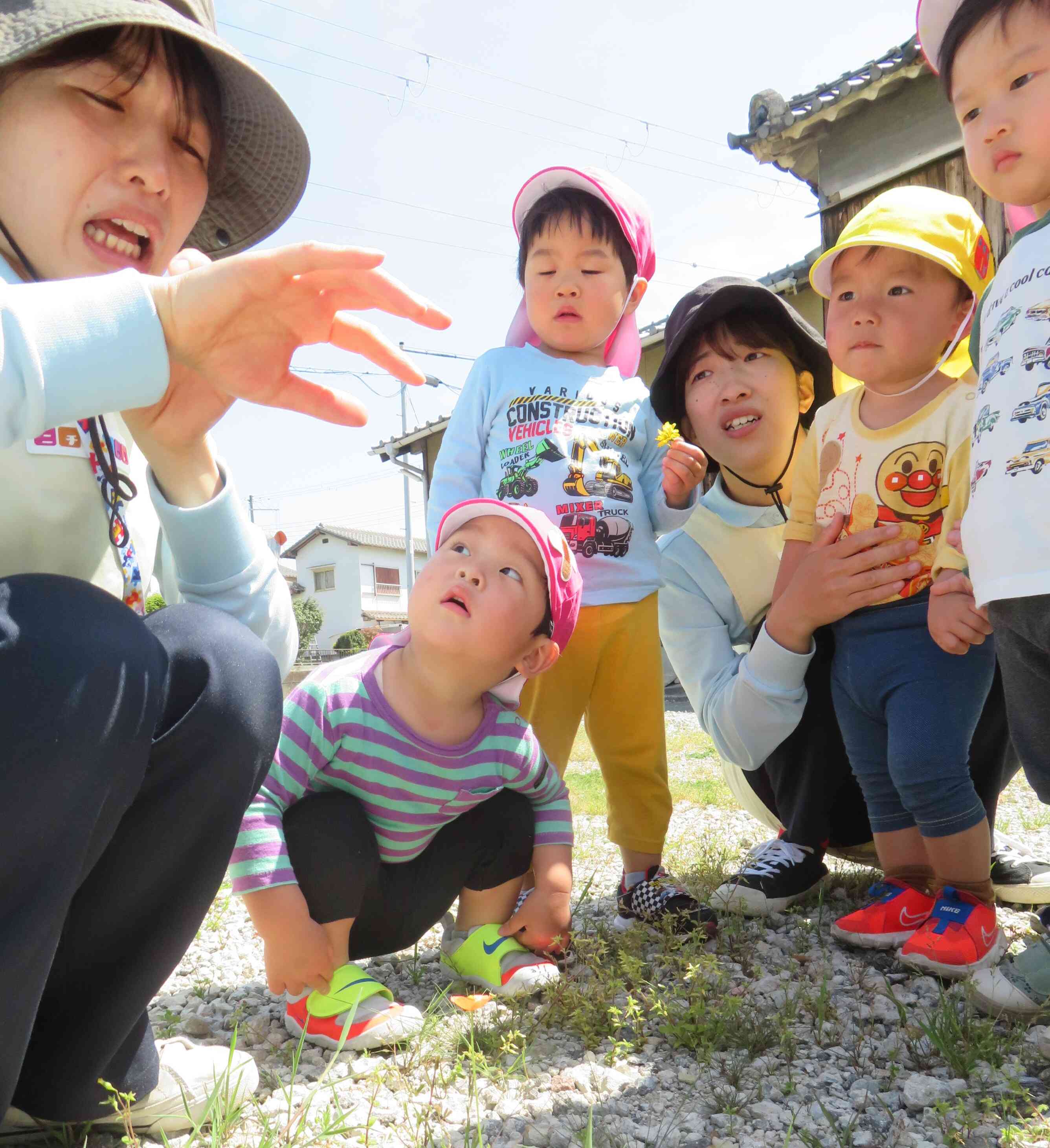 かゆいっ！いたいっ！