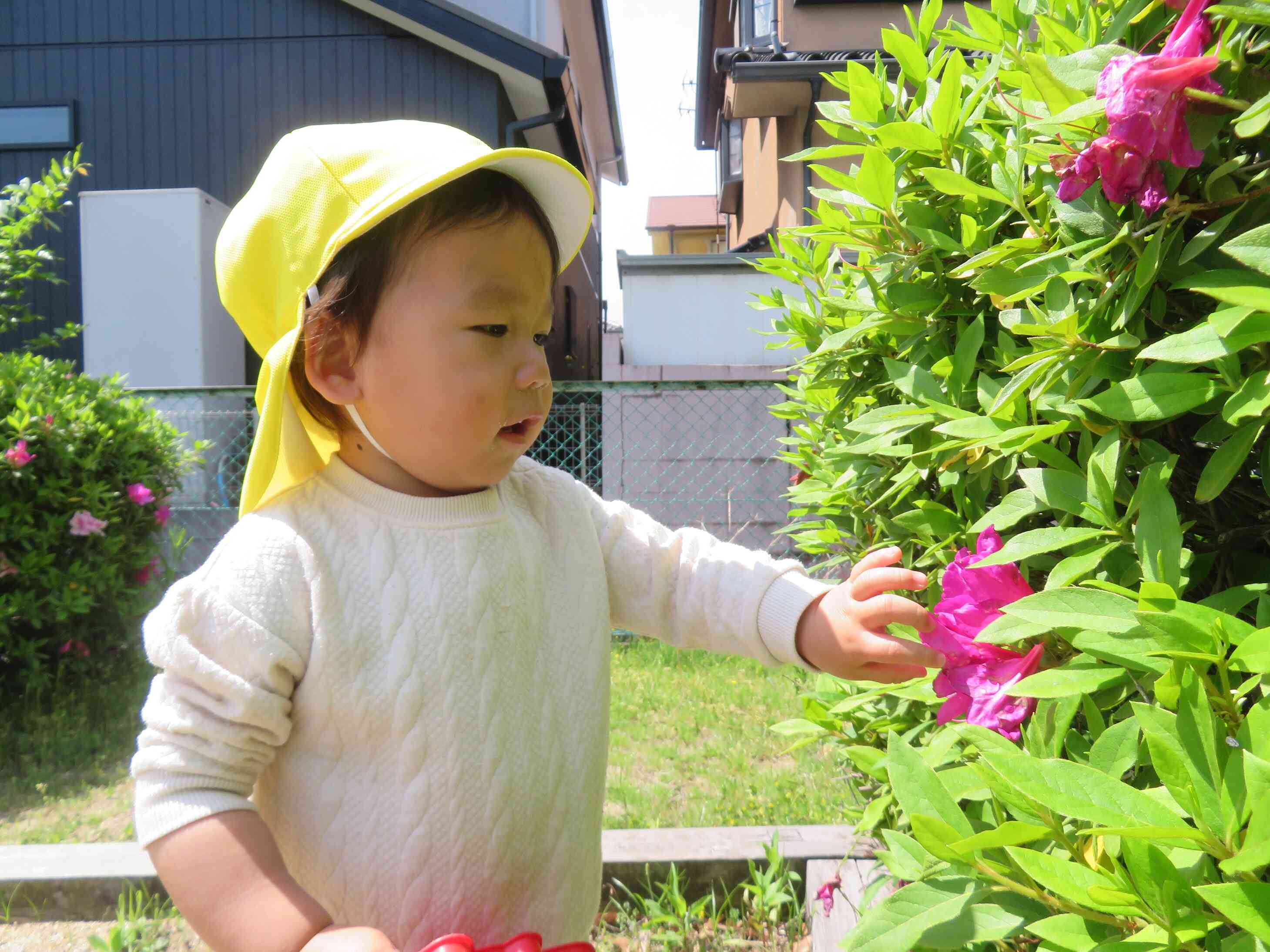 久しぶりのいいお天気☀