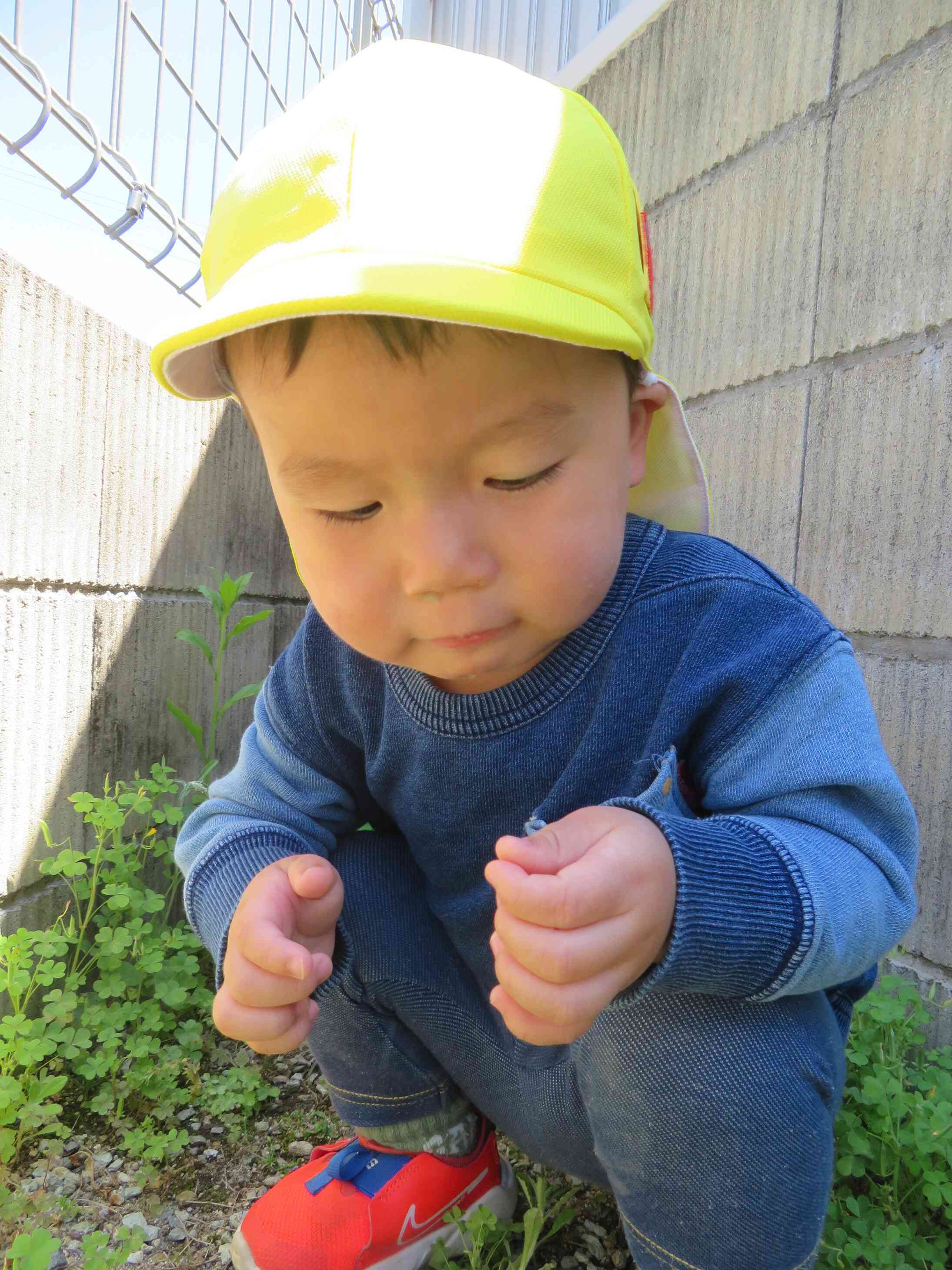 おひさまsun☆sun　だんごむし発見！