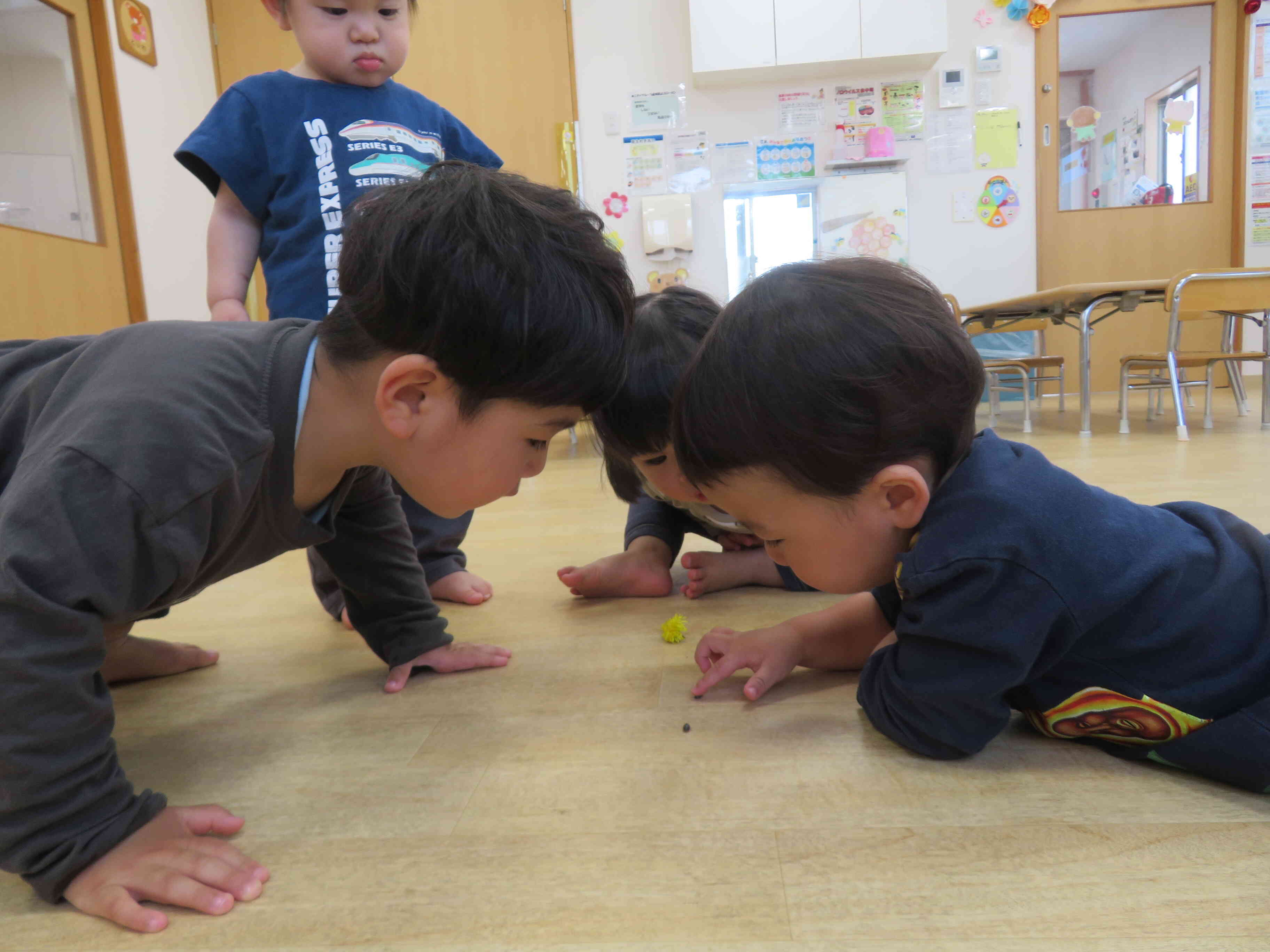 あひるぐみは、だんごむし観察中です！