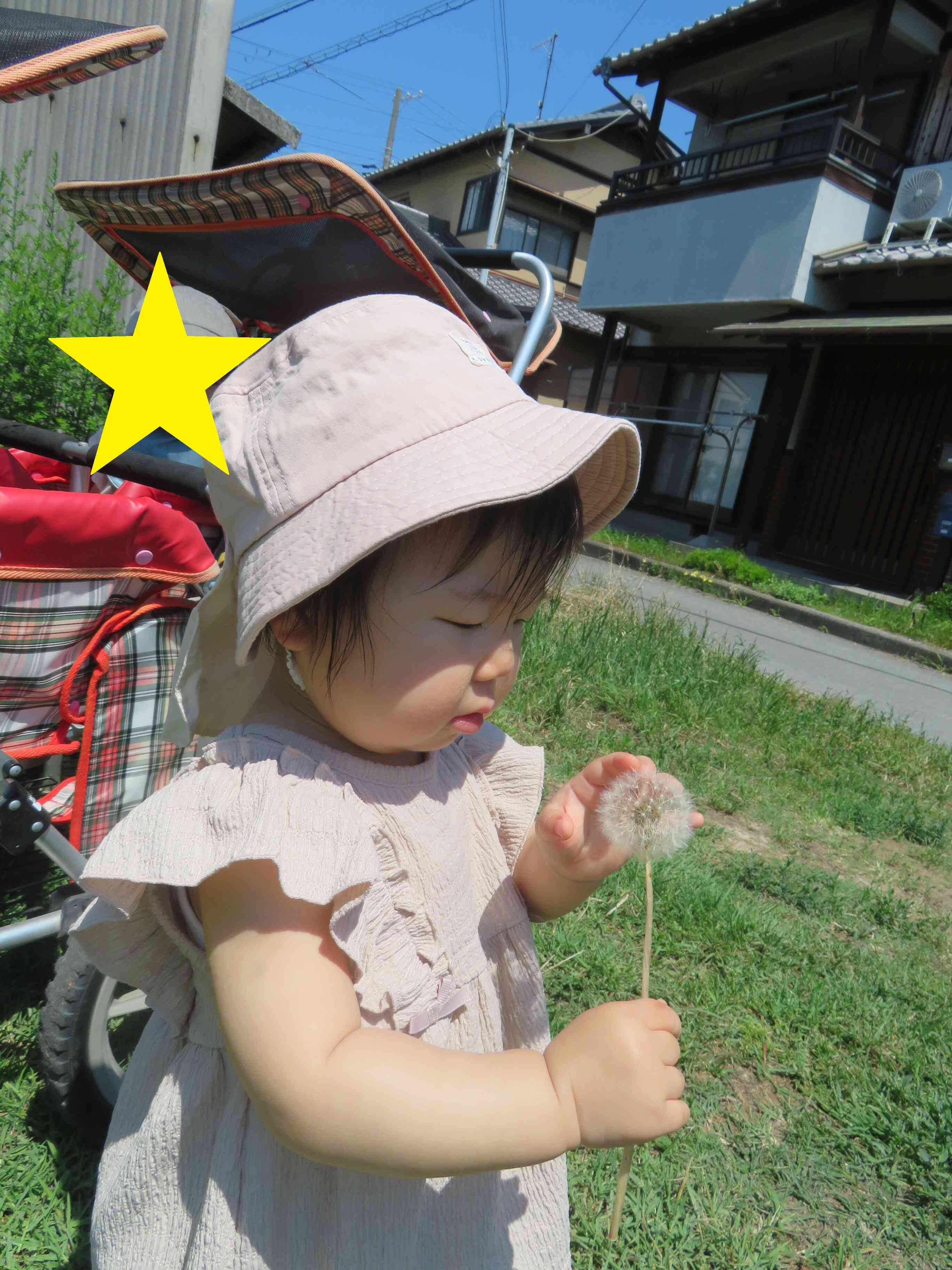 晴れの日♪