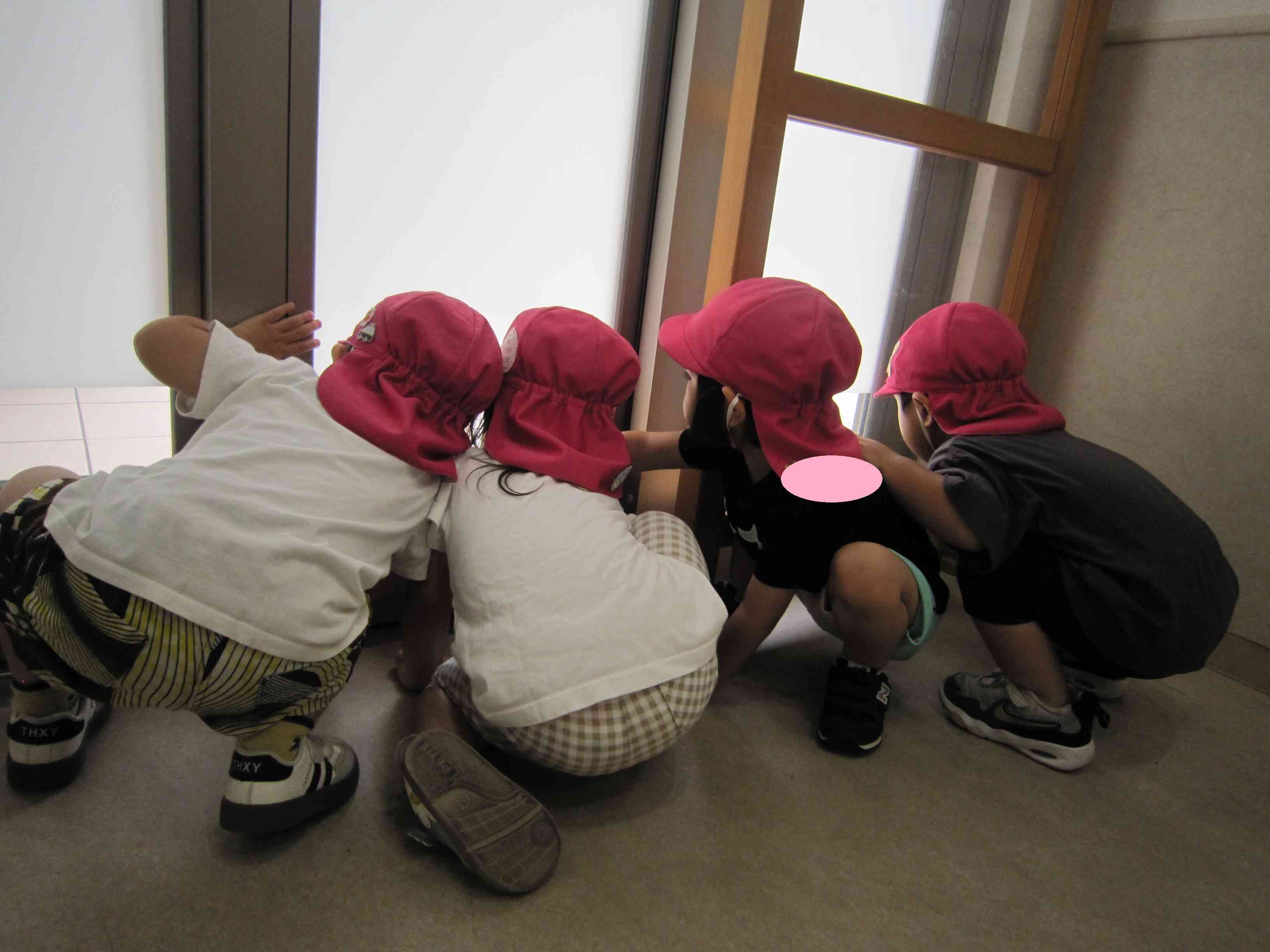 なになに！？！？