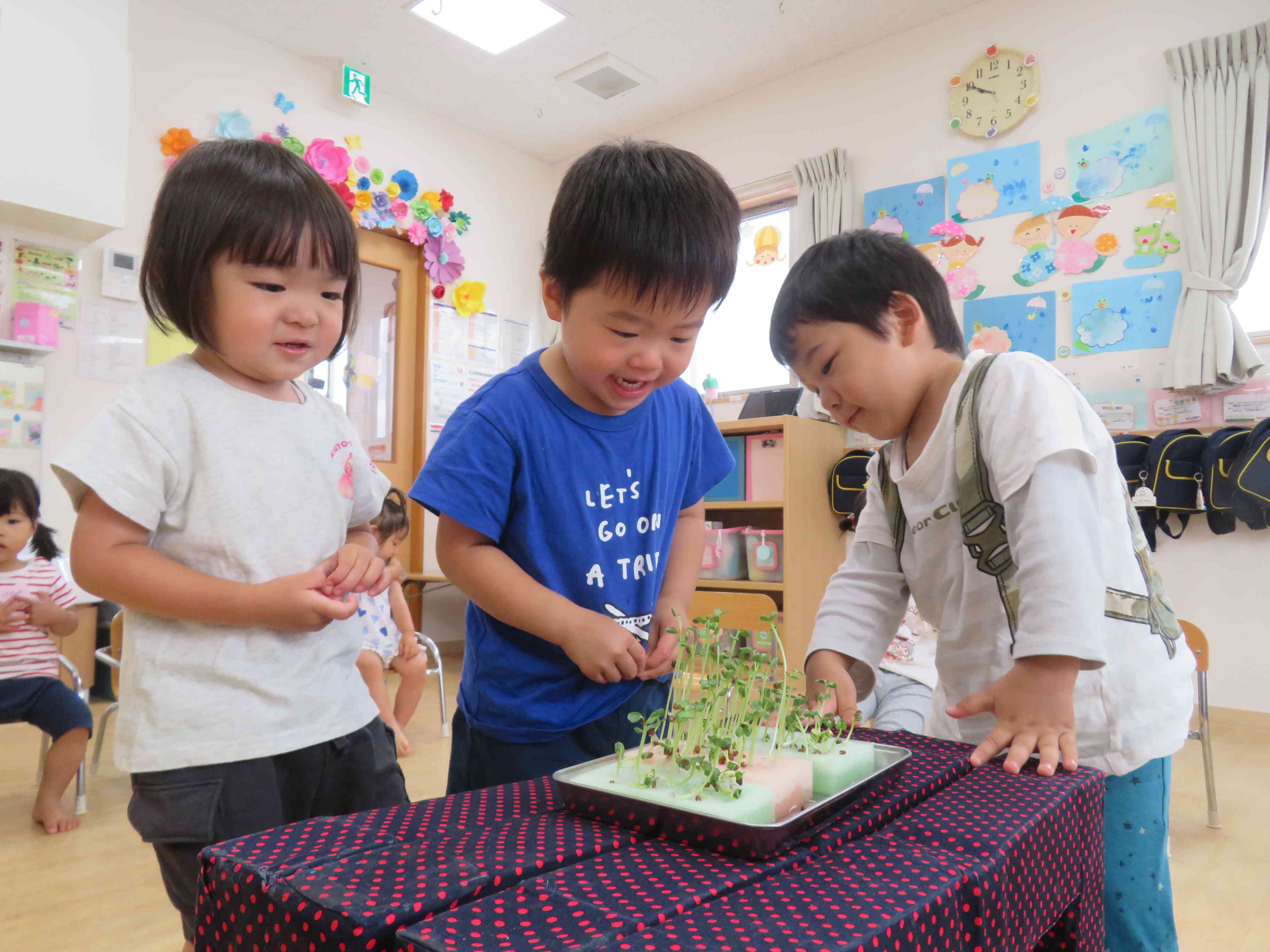 食の発見！ 色の発見！！