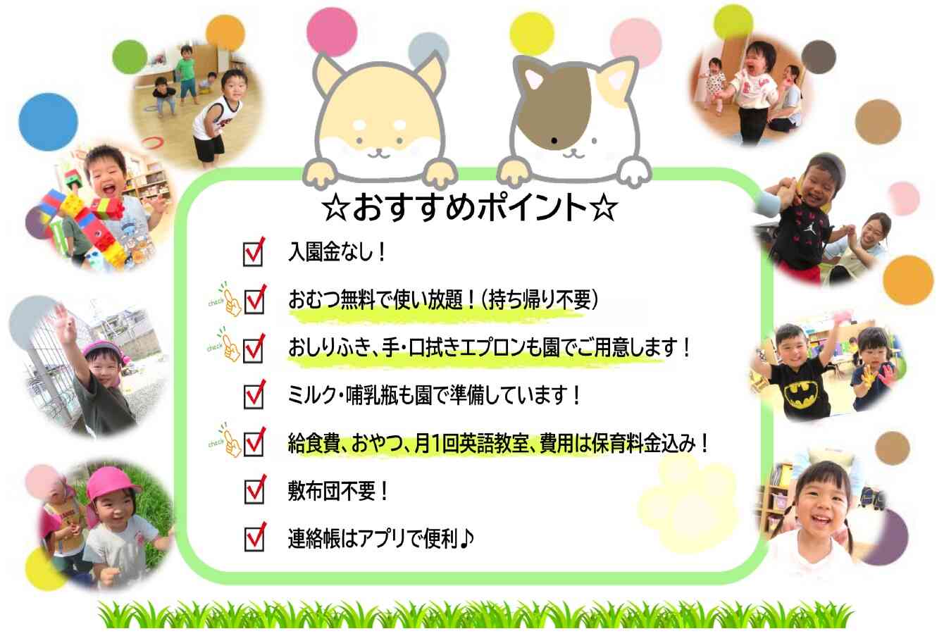 ☆2026年度 おすすめポイント☆