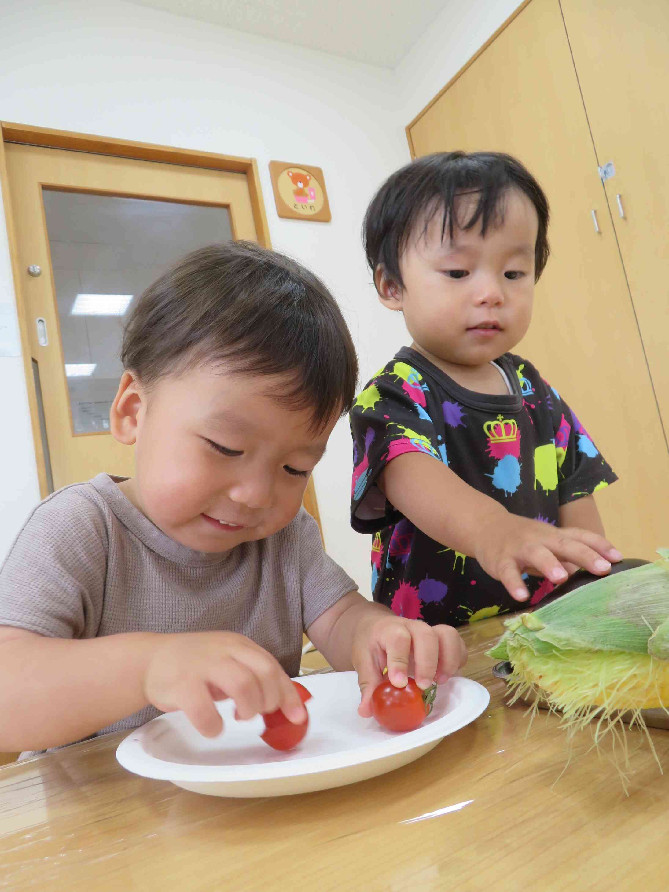 とうもろコシコシ♪トマトはトントントン！
