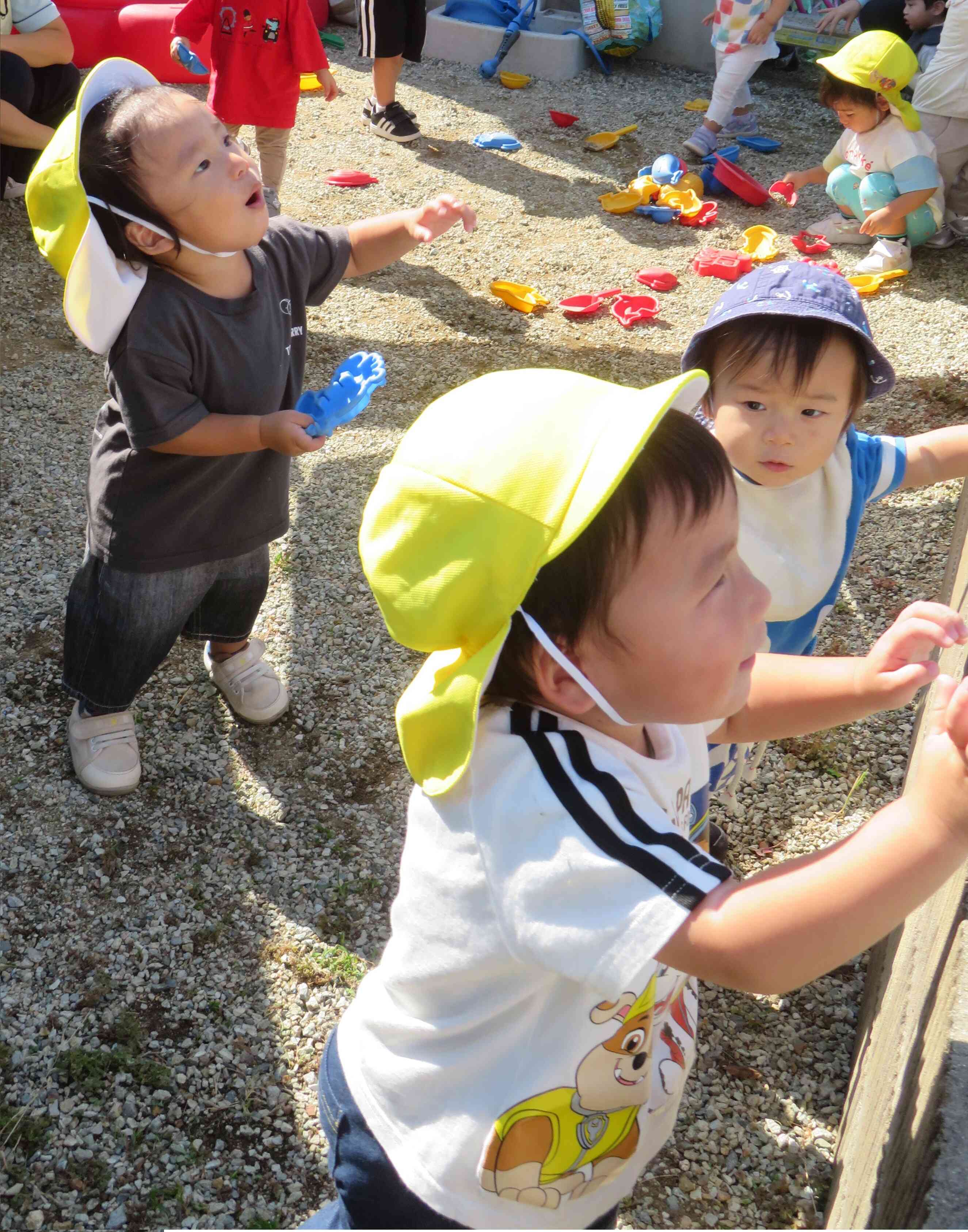 あ！みてー！！
