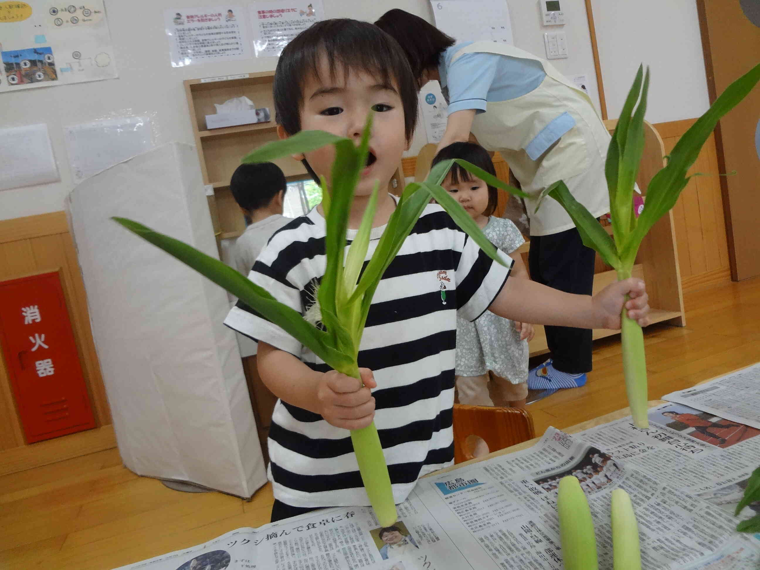 ヤングコーンはとうもろこしの赤ちゃんなんだってー！