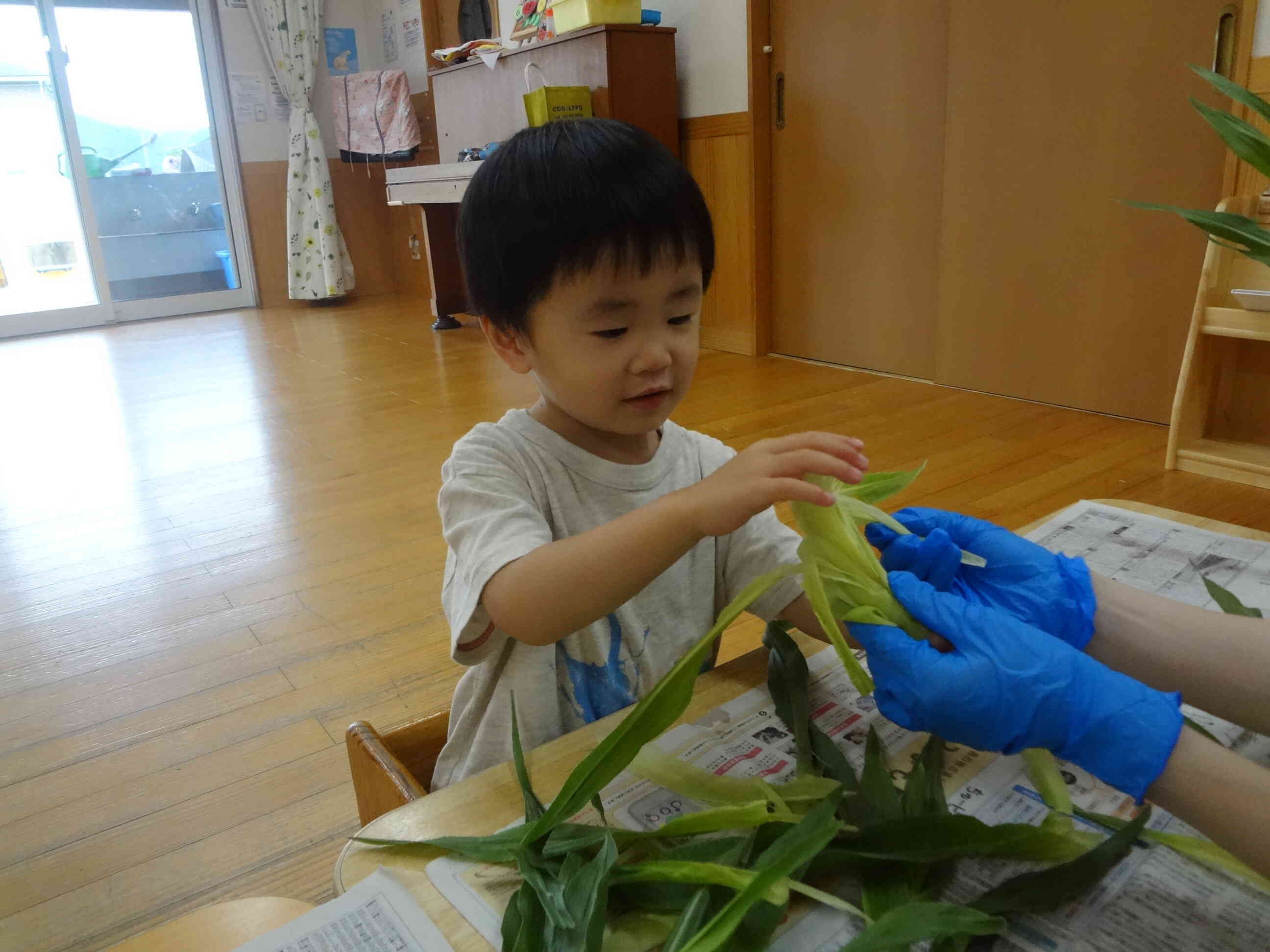 ふわふわしてるね！赤ちゃんの髪の毛みたいでかわいいね！