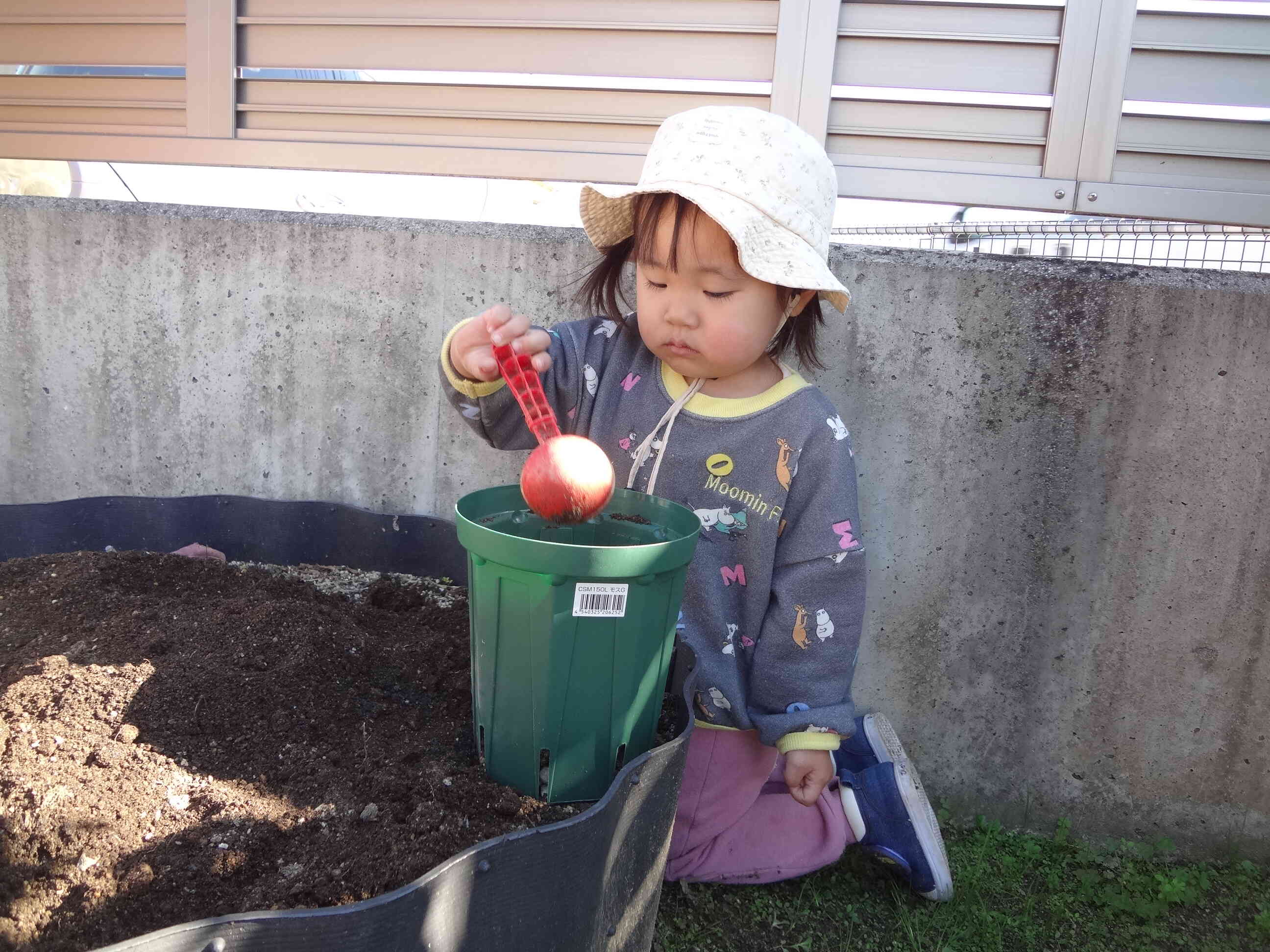 まず植木鉢の中にふかふかの土を入れます。