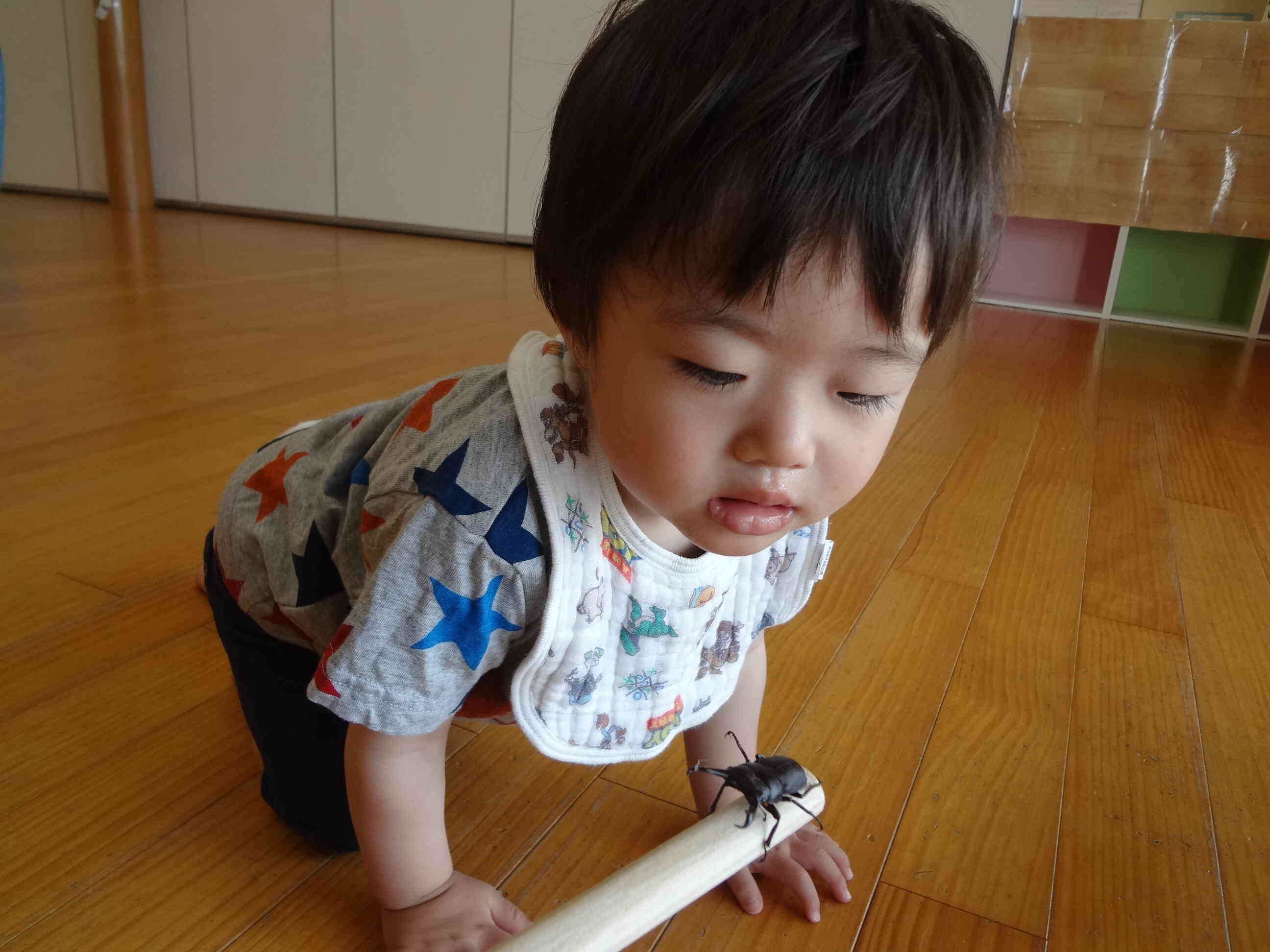 クワガタが遊びにきている朝もありました。