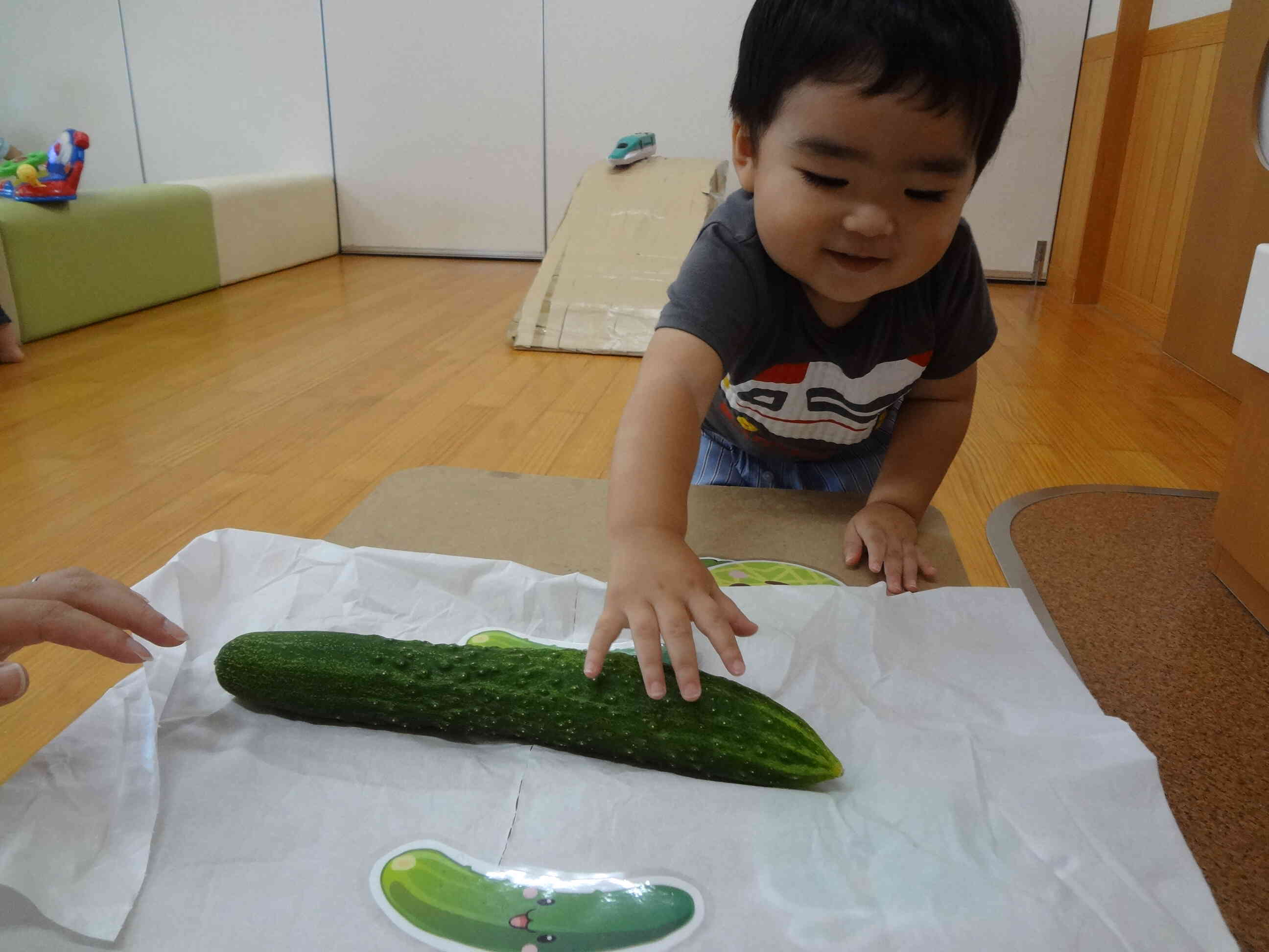 今日は収穫したきゅうりに触れてみました。これからトマトやピーマン、かぼちゃなどの収穫も控えています。少しでも興味をもって食に繋げていけたらと思います。