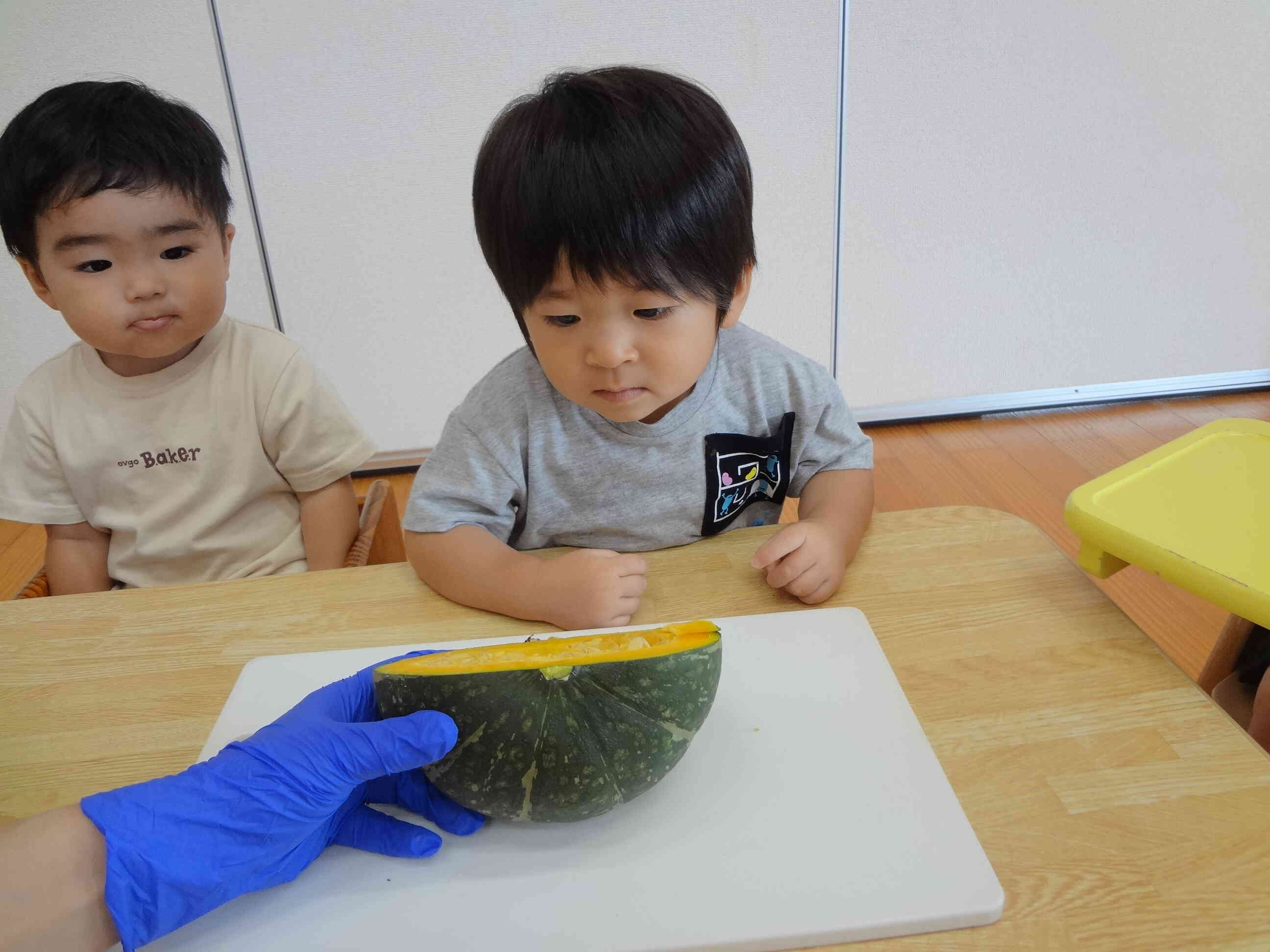 真剣に観察してくれています。色や匂い、かぼちゃの種など感じてくれたかな。
