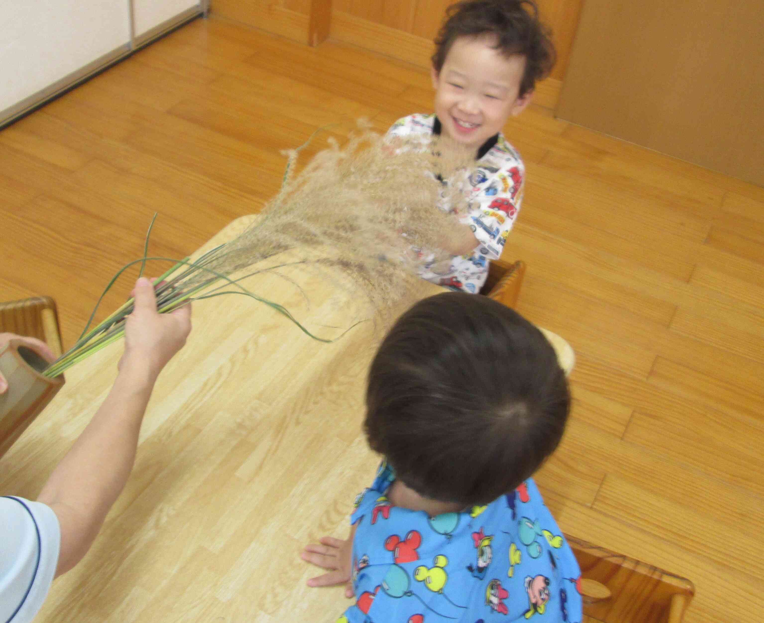 これが本物のススキだよ!