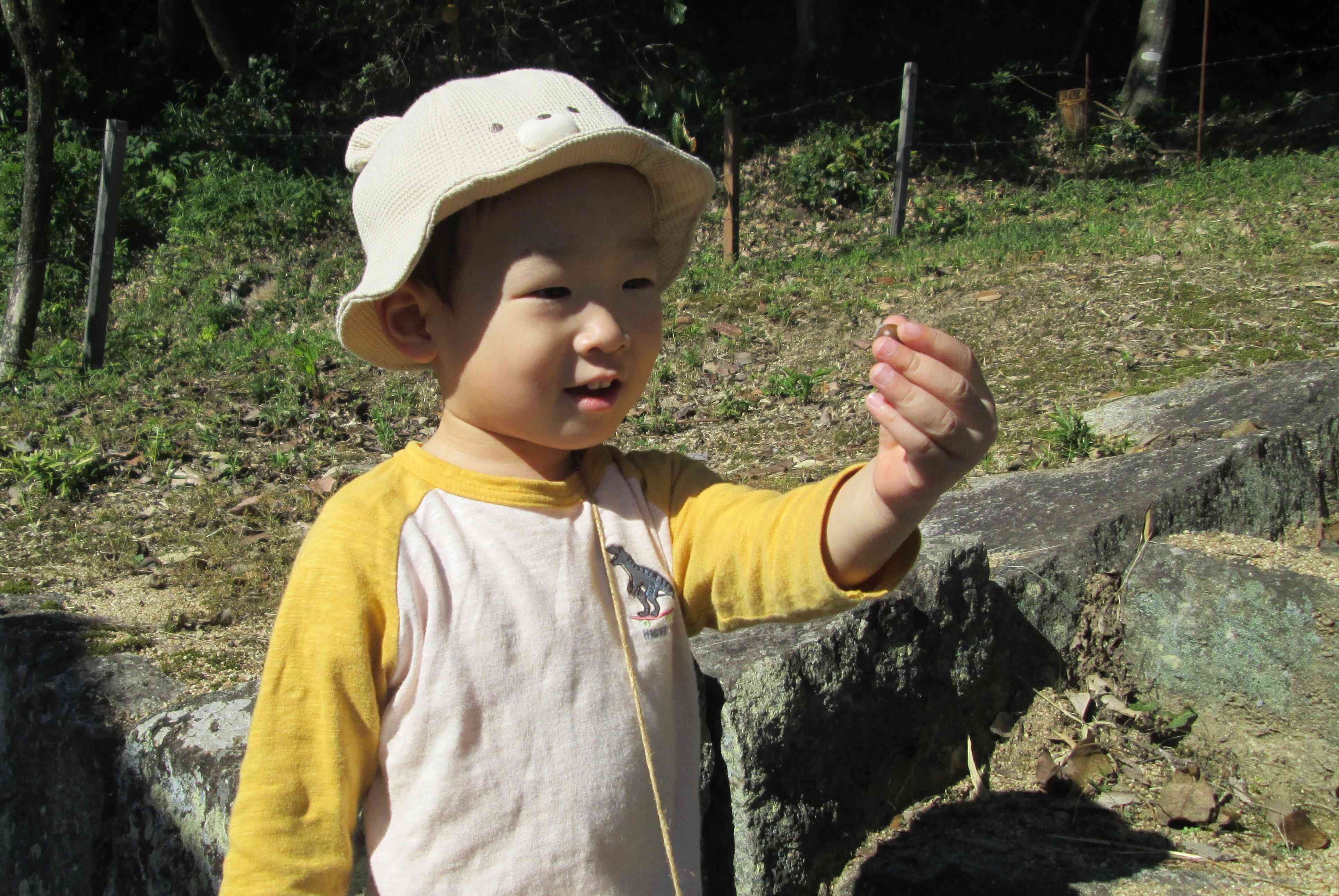 みて～！どんぐりみつけたよ～。