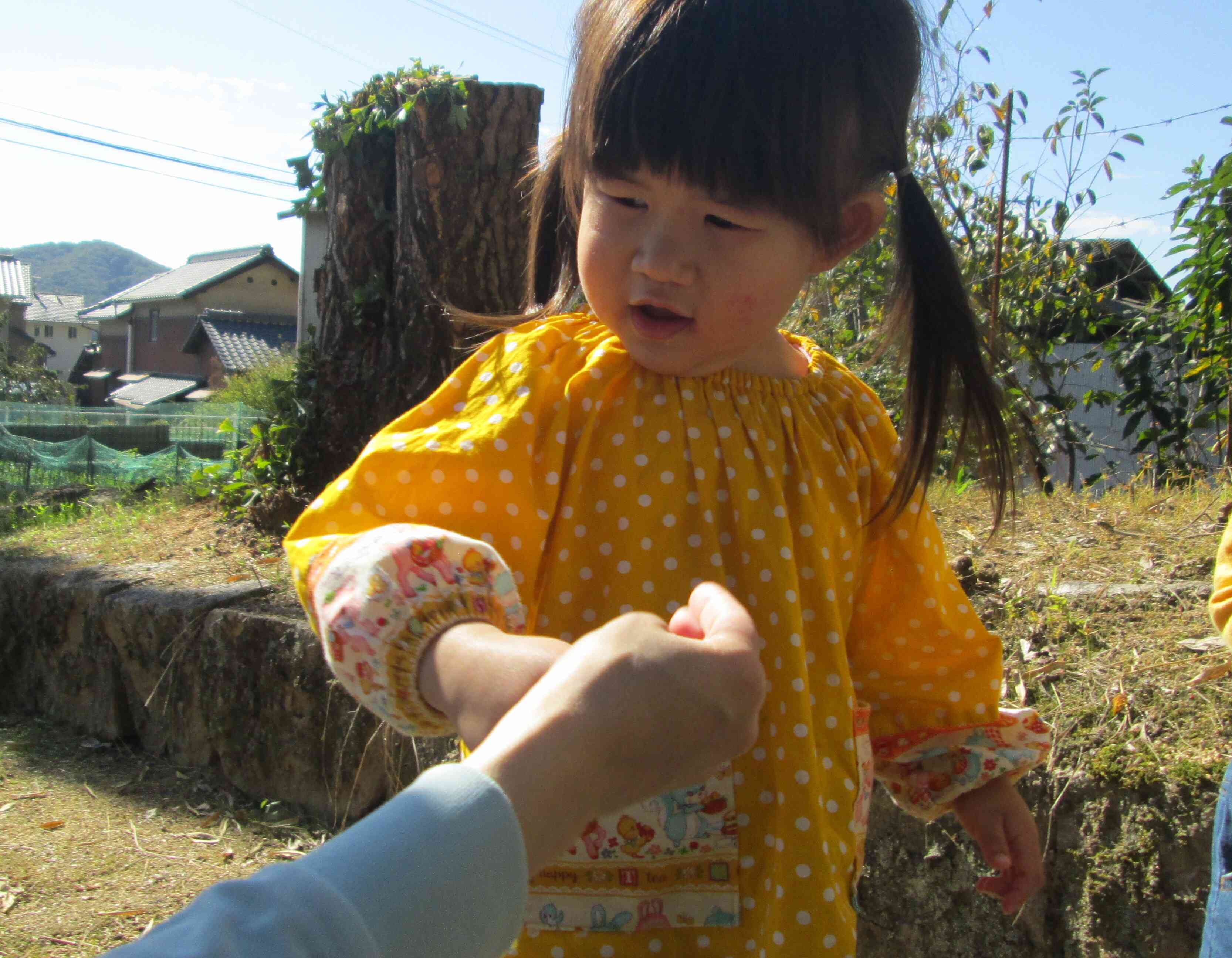 秋晴れの中のお散歩はMちゃんもとっても嬉しそうでしたよ。また行こうね。