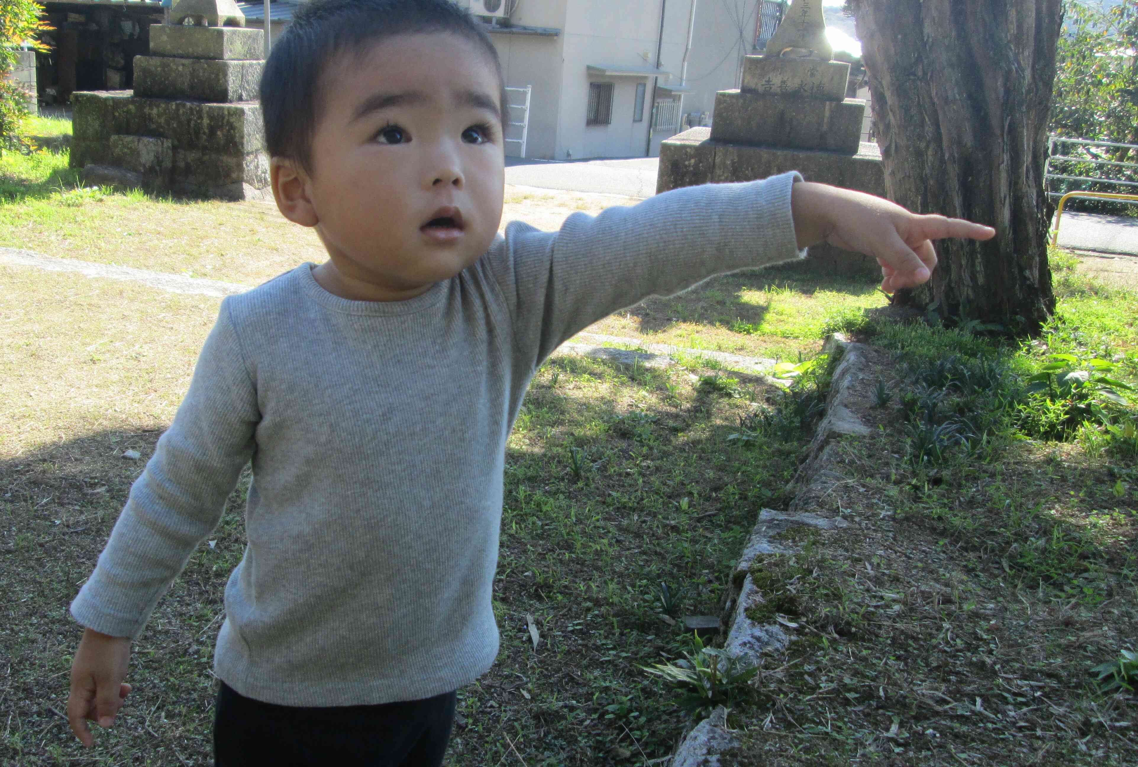 Sくんの指さすほうをみるとコオロギがいましたよ。よく見つけたね～。