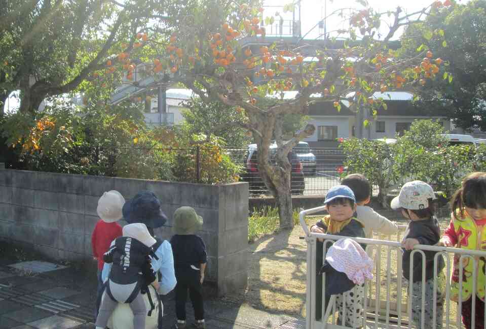 電車を見に行ってきました！