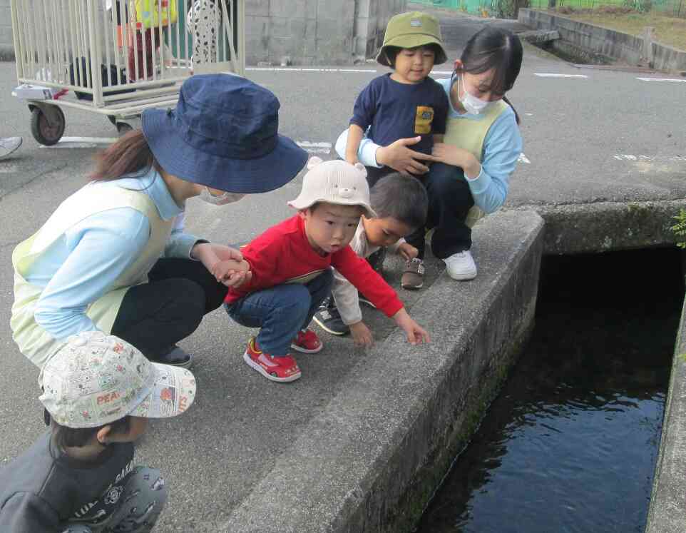 ザリガニをみつけたり、ちょうちょやヘビもいたよね