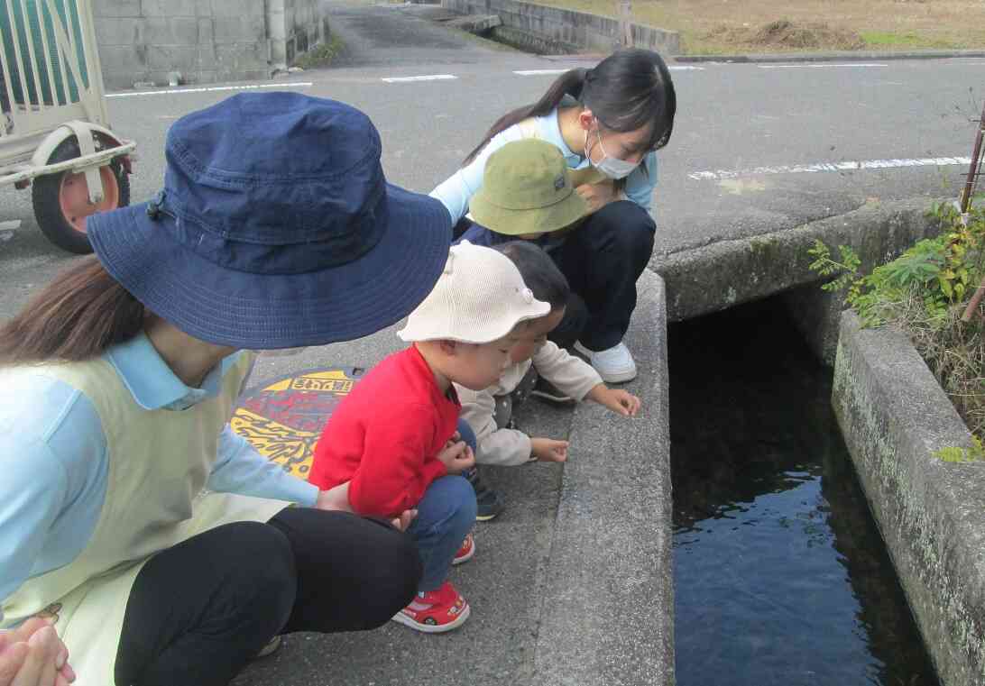 散歩にでかけるたびにたくさんの発見があります。子どもの発見に驚かされることもたくさんあります。