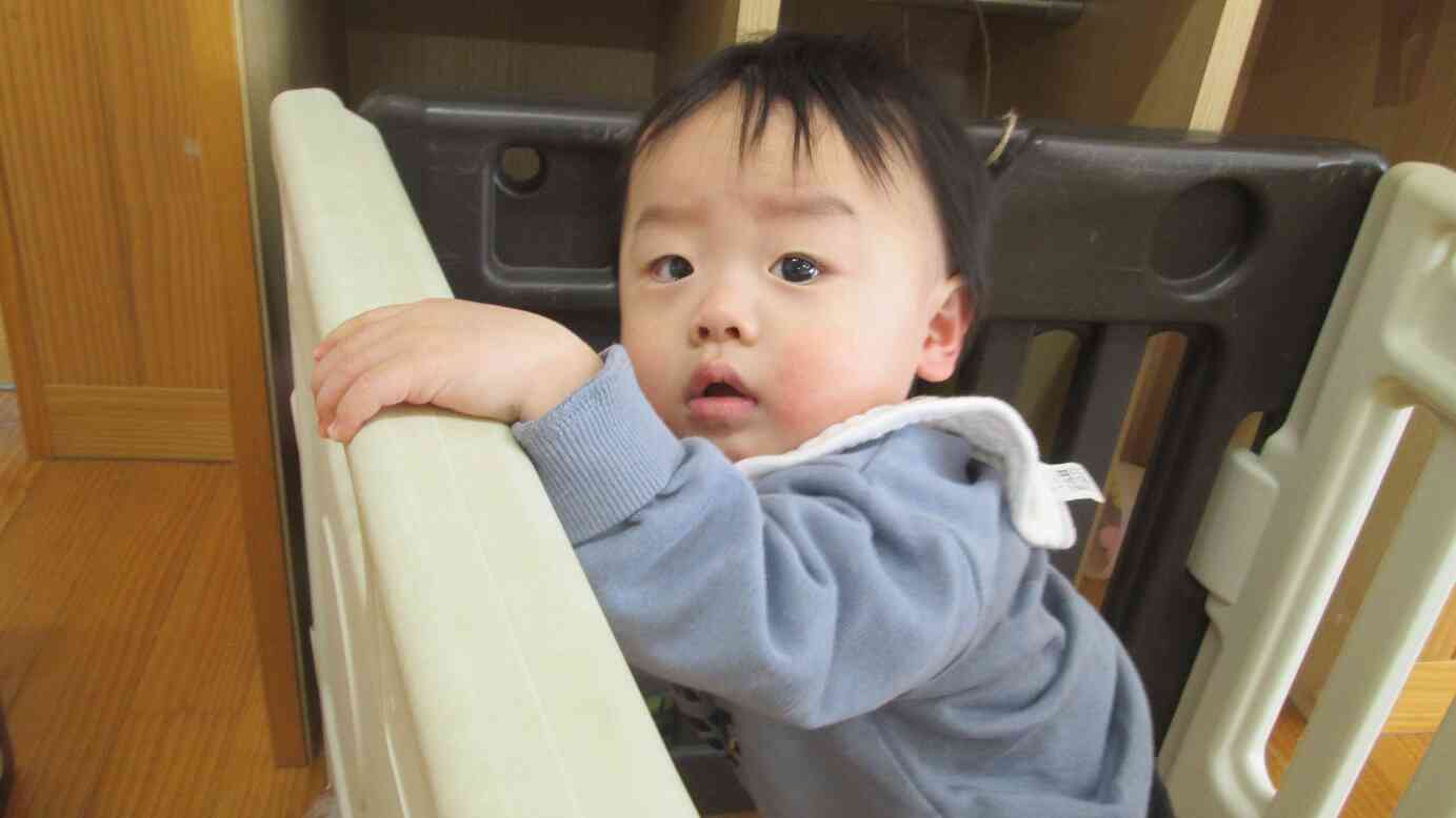 新しいお友だちが増えました！