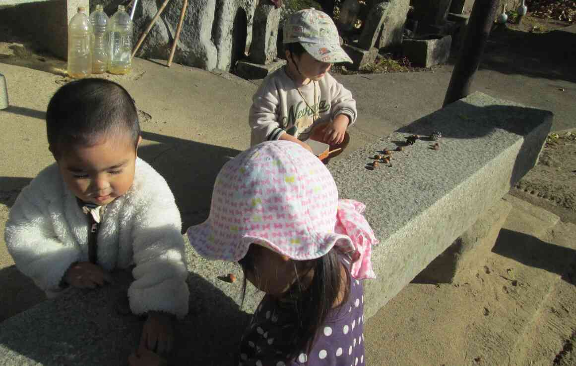 「どんぐりはいかがですか～！」