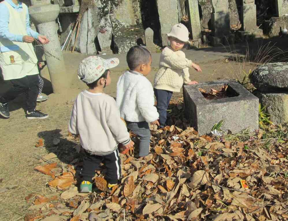 枯れ葉を踏んでカサカサっていう音を楽しんでいたらKくんが何かをみつけました。