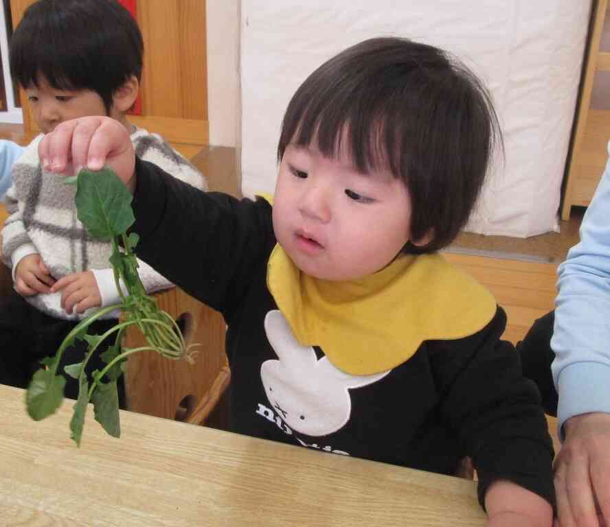 さわってみたり