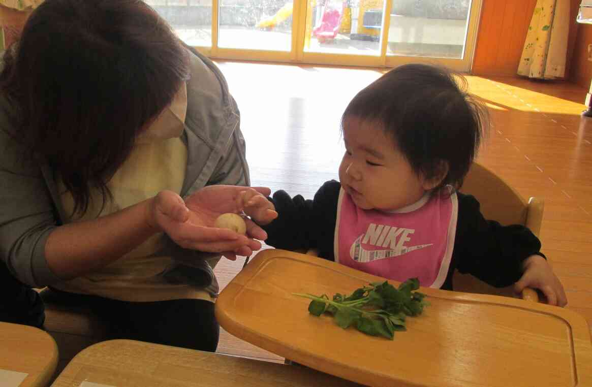 どうぞ！をしてみたり