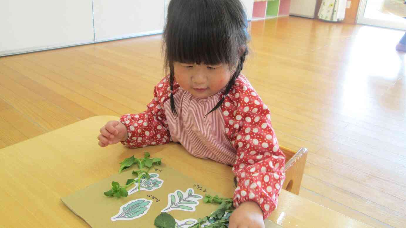 手作りの七草ボードの上に並べてみたり