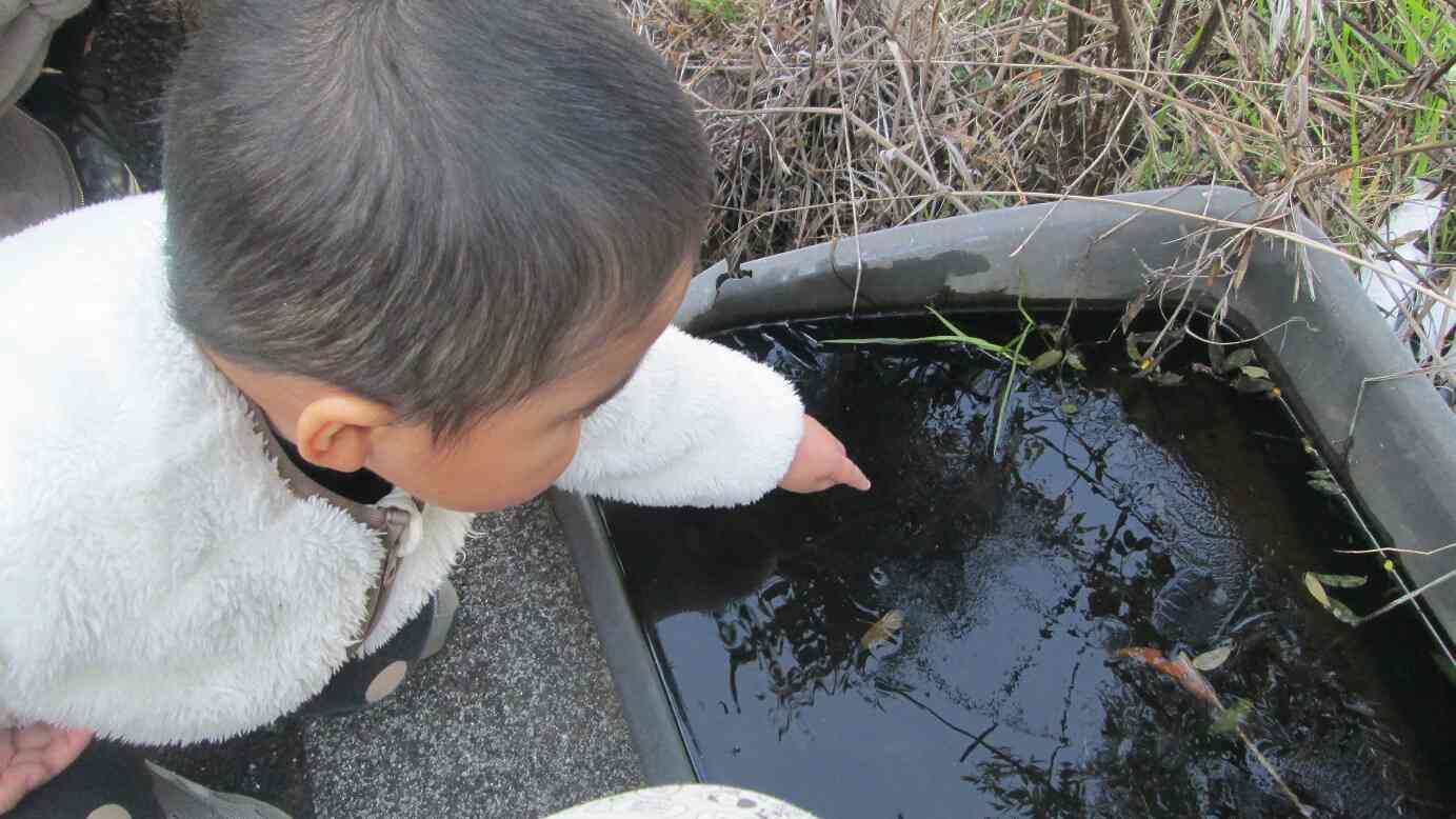 「ひゃ～！冷たい！」冬ならではの事象も楽しめましたよ。