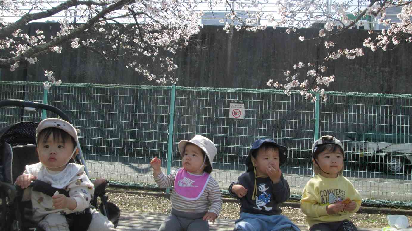 お花見さんぽに行ってきました！