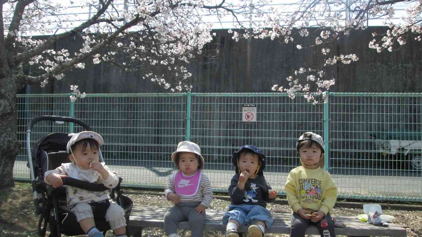 お花見さんぽにきたよ！