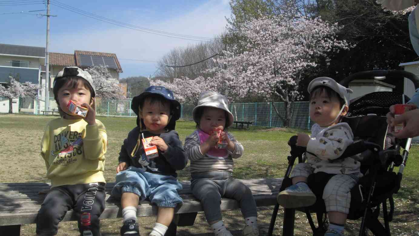 お花見しながらのおやつは