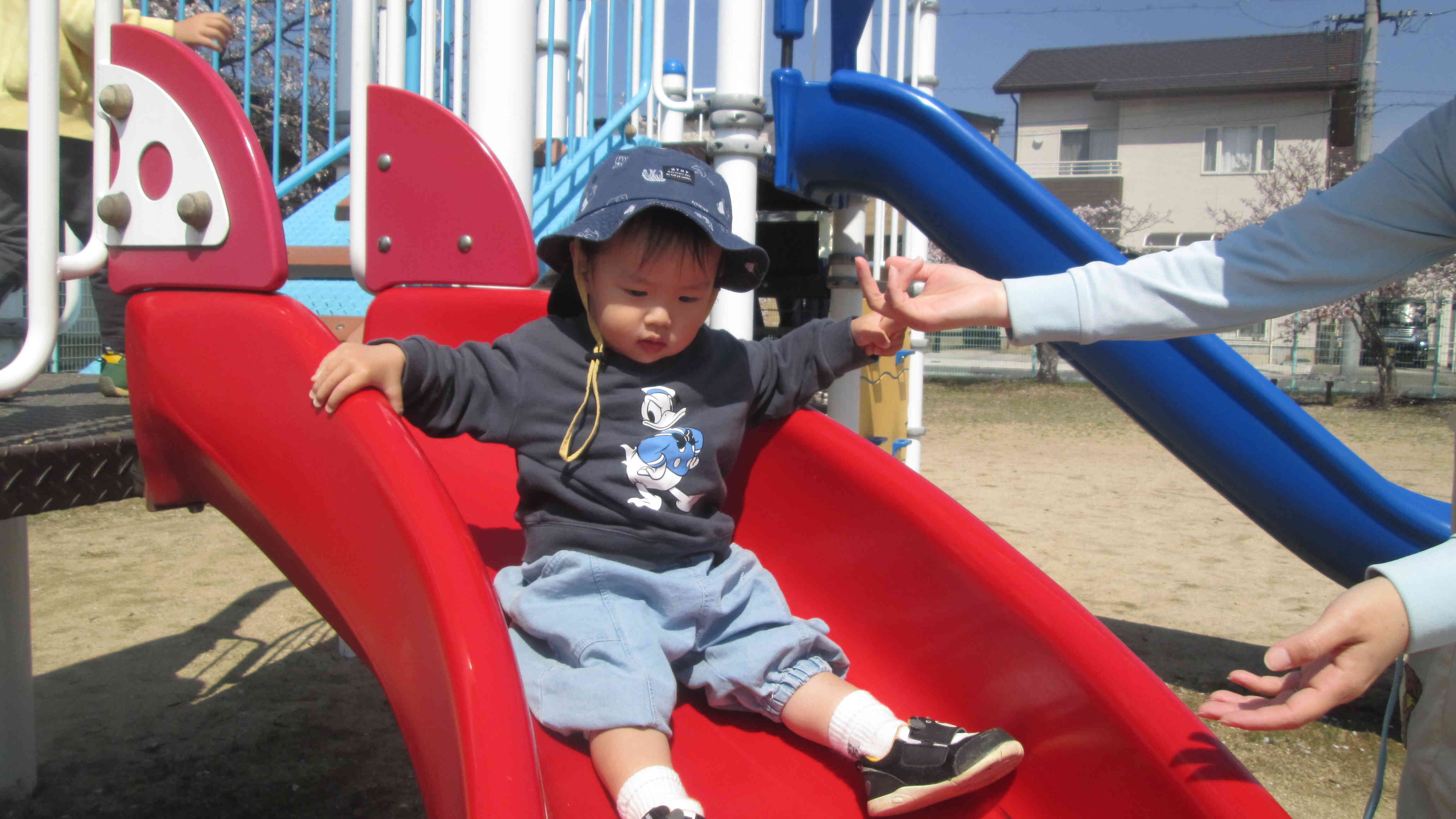雨の多い４月ですがもう一回お花見に行けるといいな～