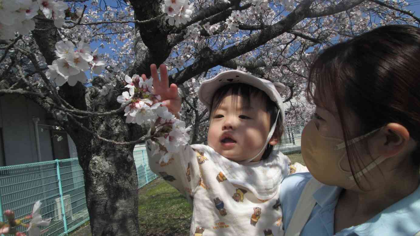 きれいだね～！