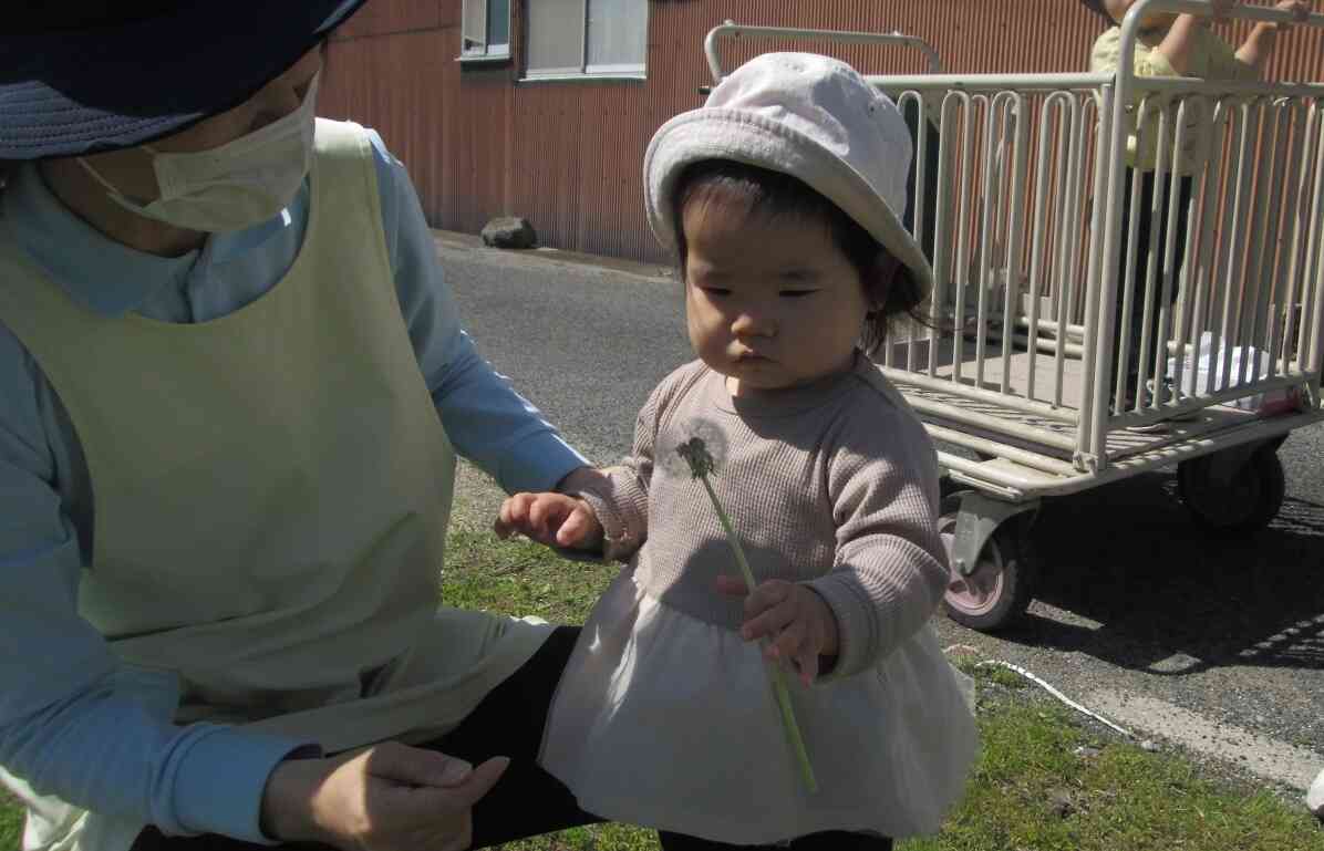 私はタンポポの綿毛を飛ばしてみたよ！ふわふわしてかわいいね。