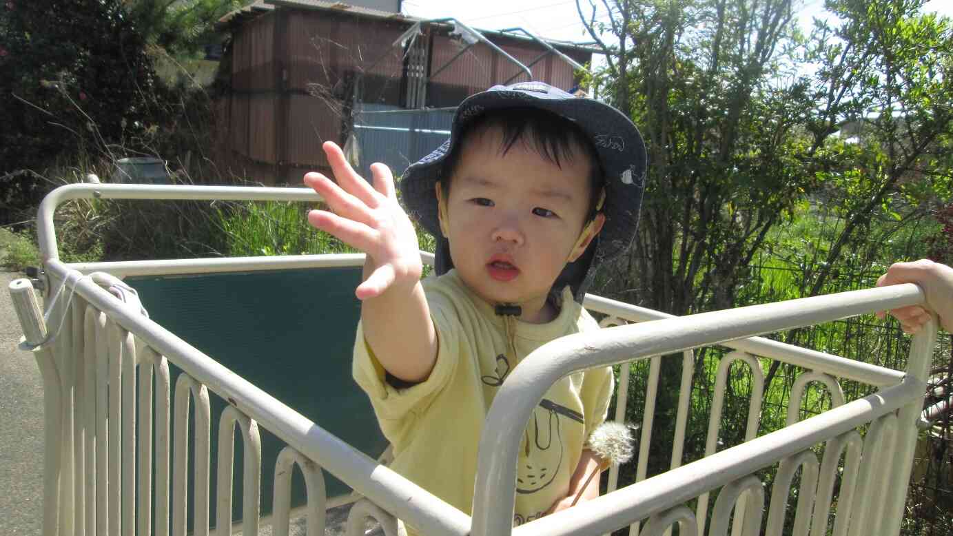 ぼくの綿毛も飛んでいけ～。