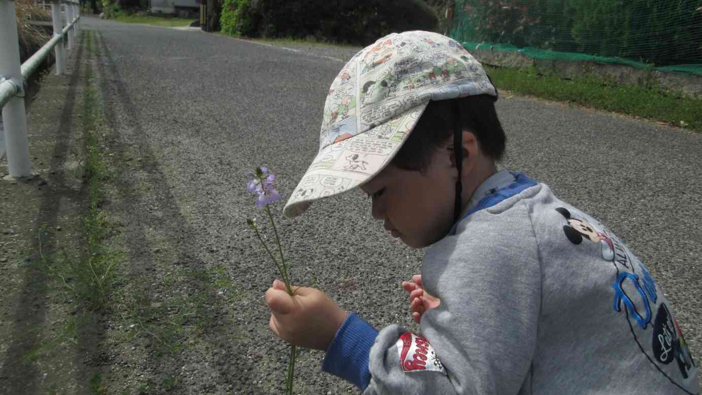 春の野花を探しに行きました①